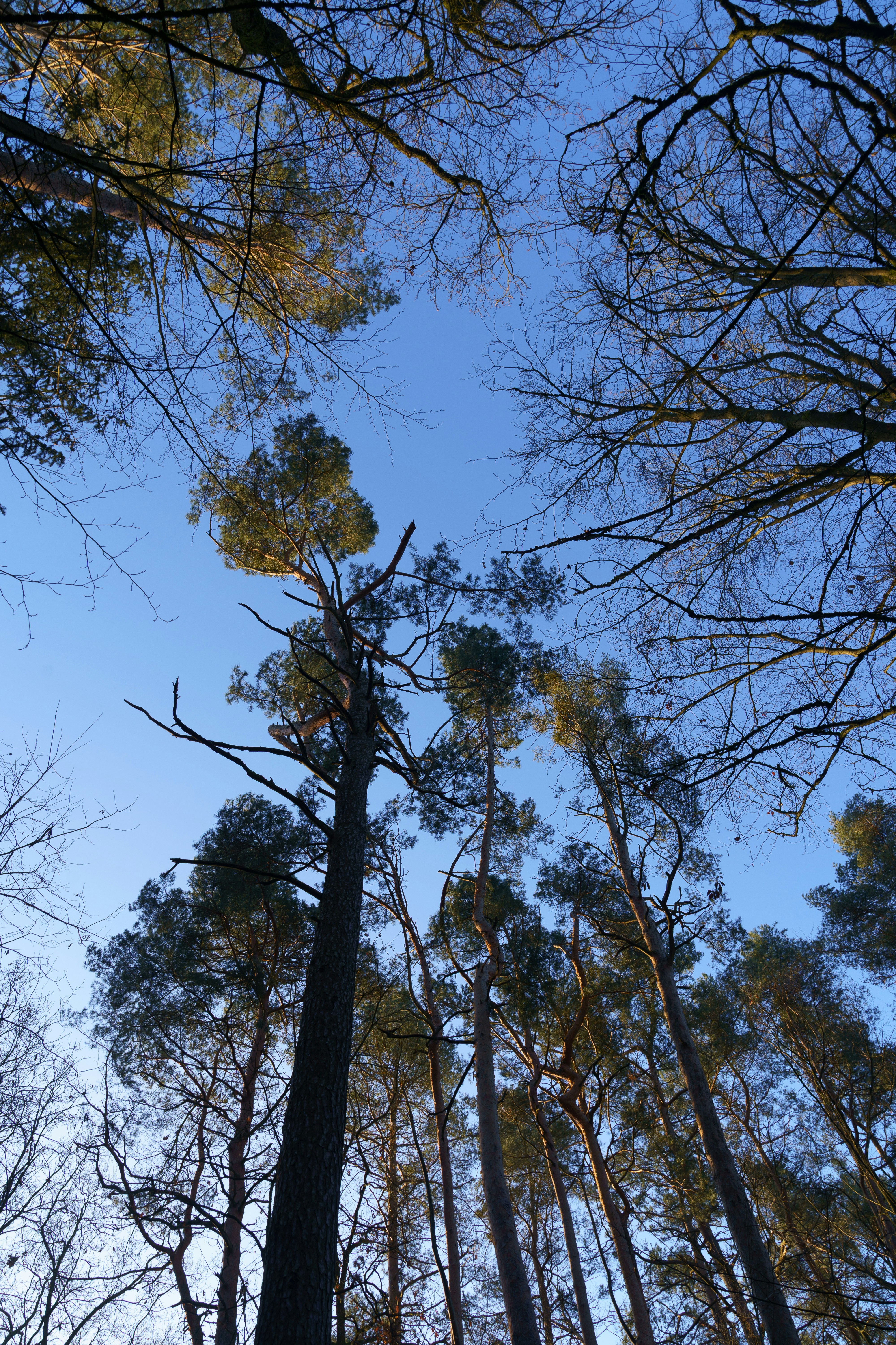 Photo by bangscreative