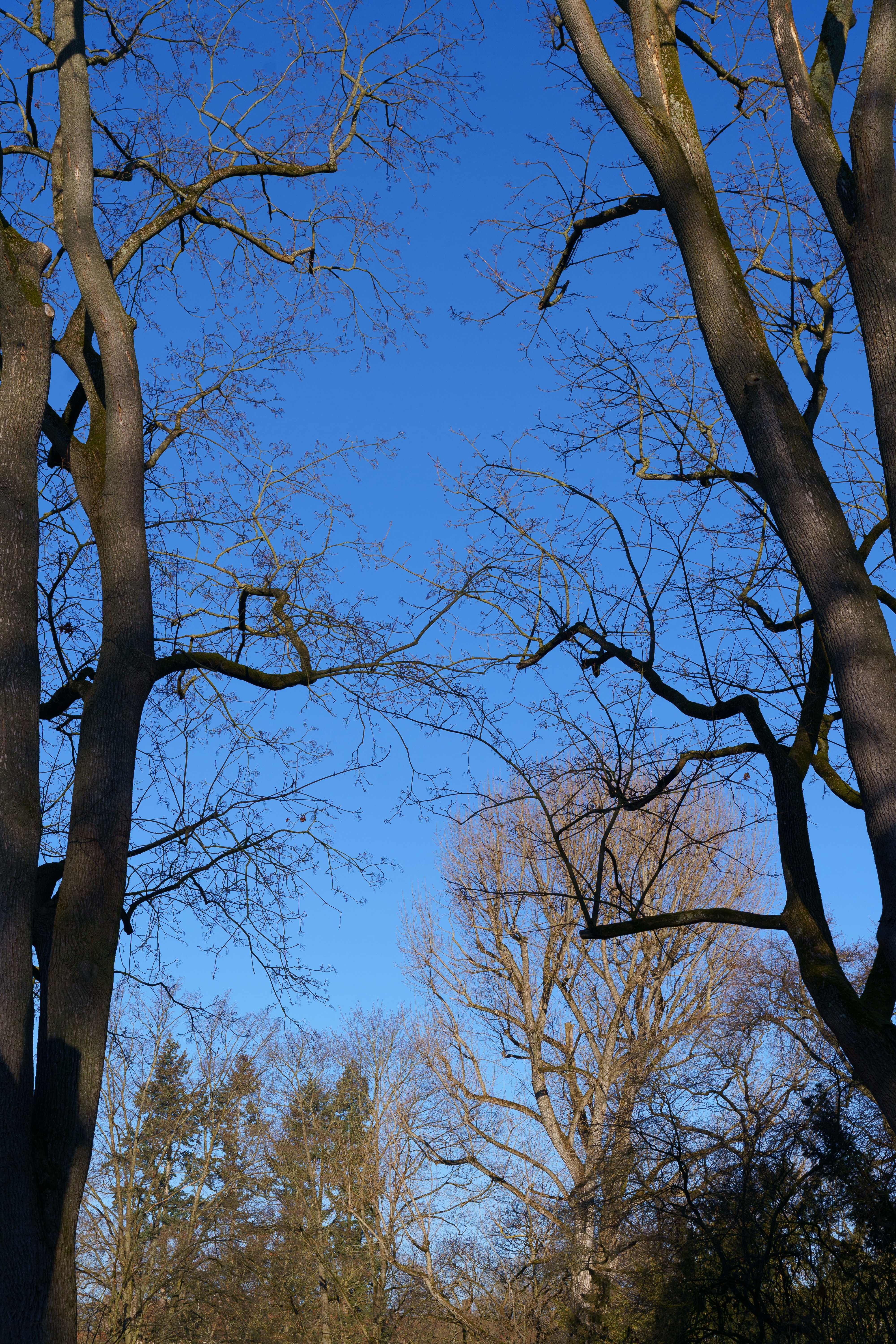 Photo by bangscreative