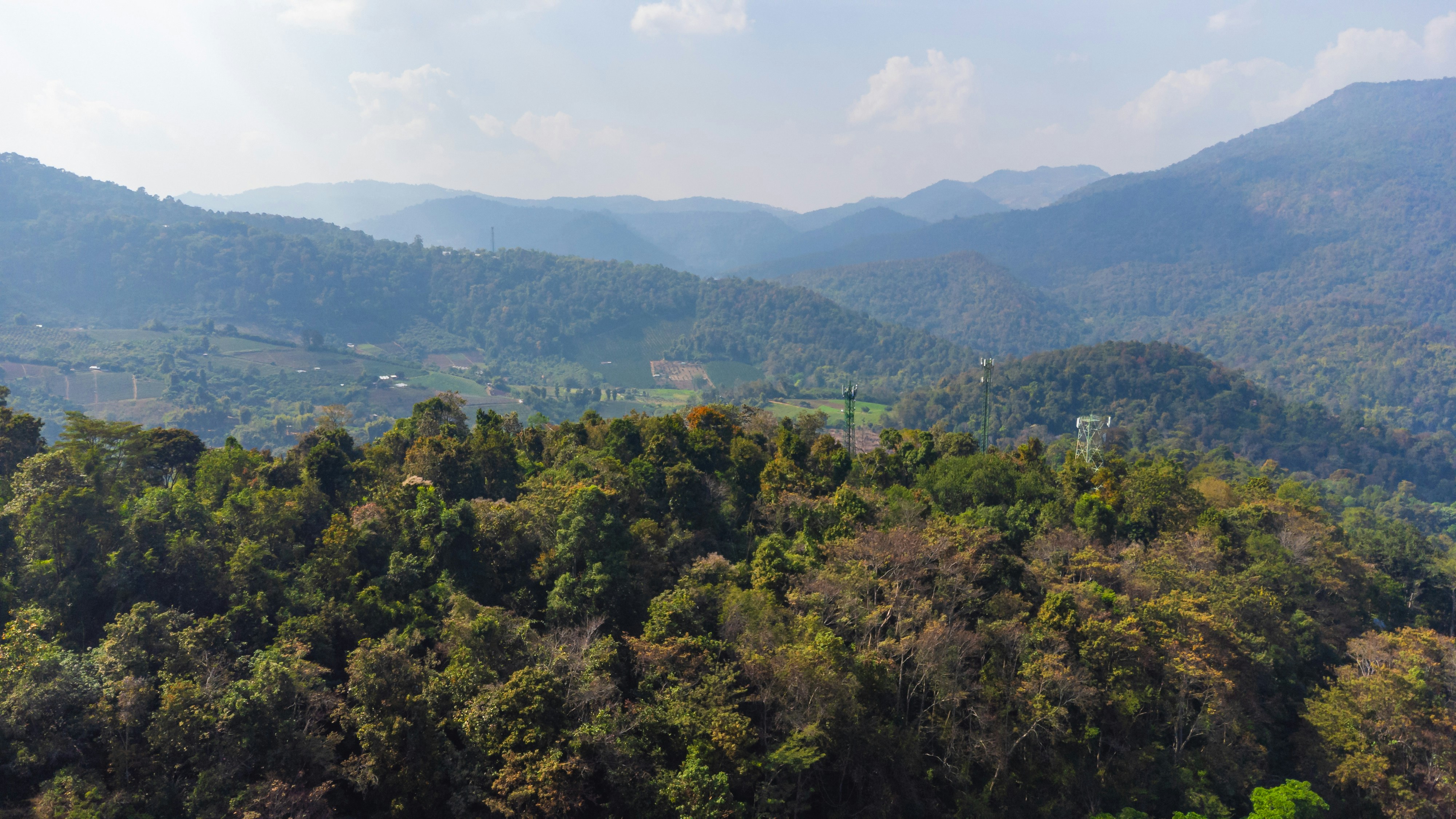 Photo by frozencloud