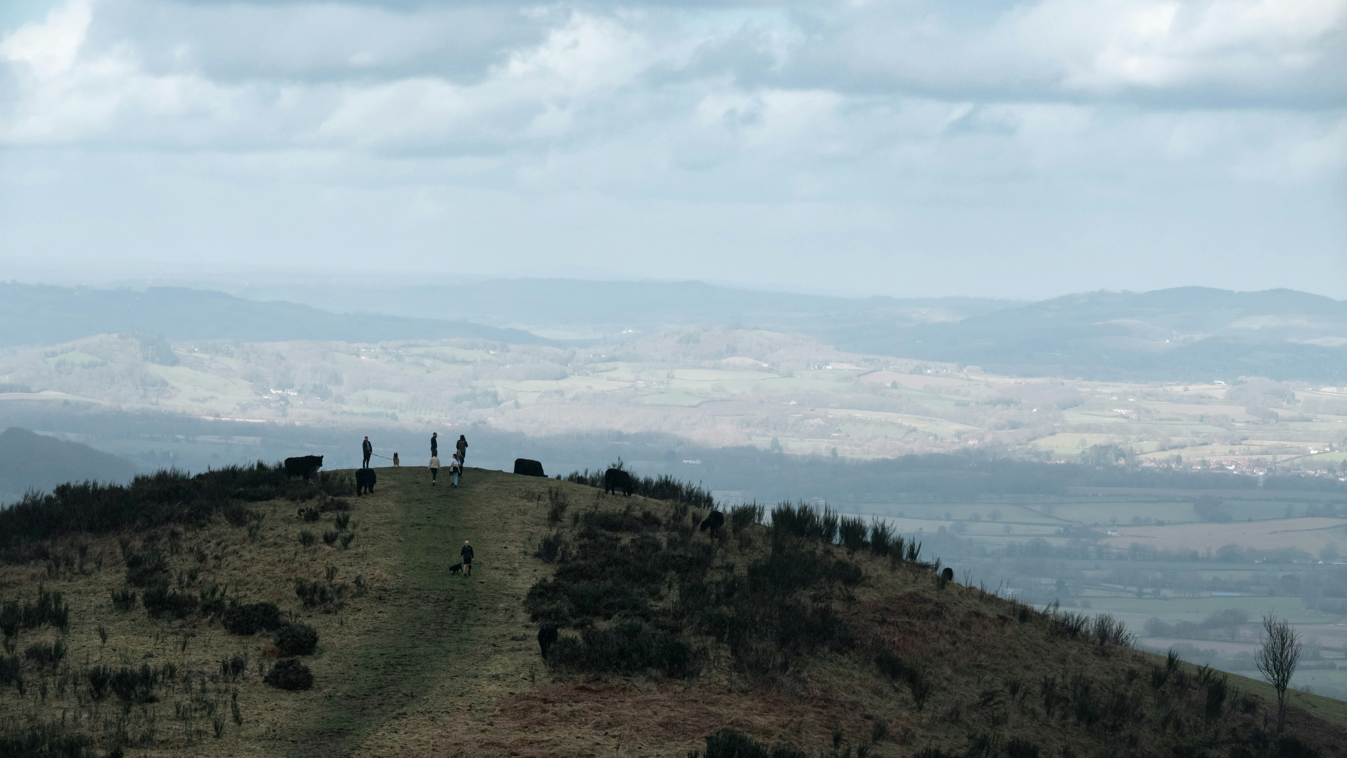 Photo by nathan_wong