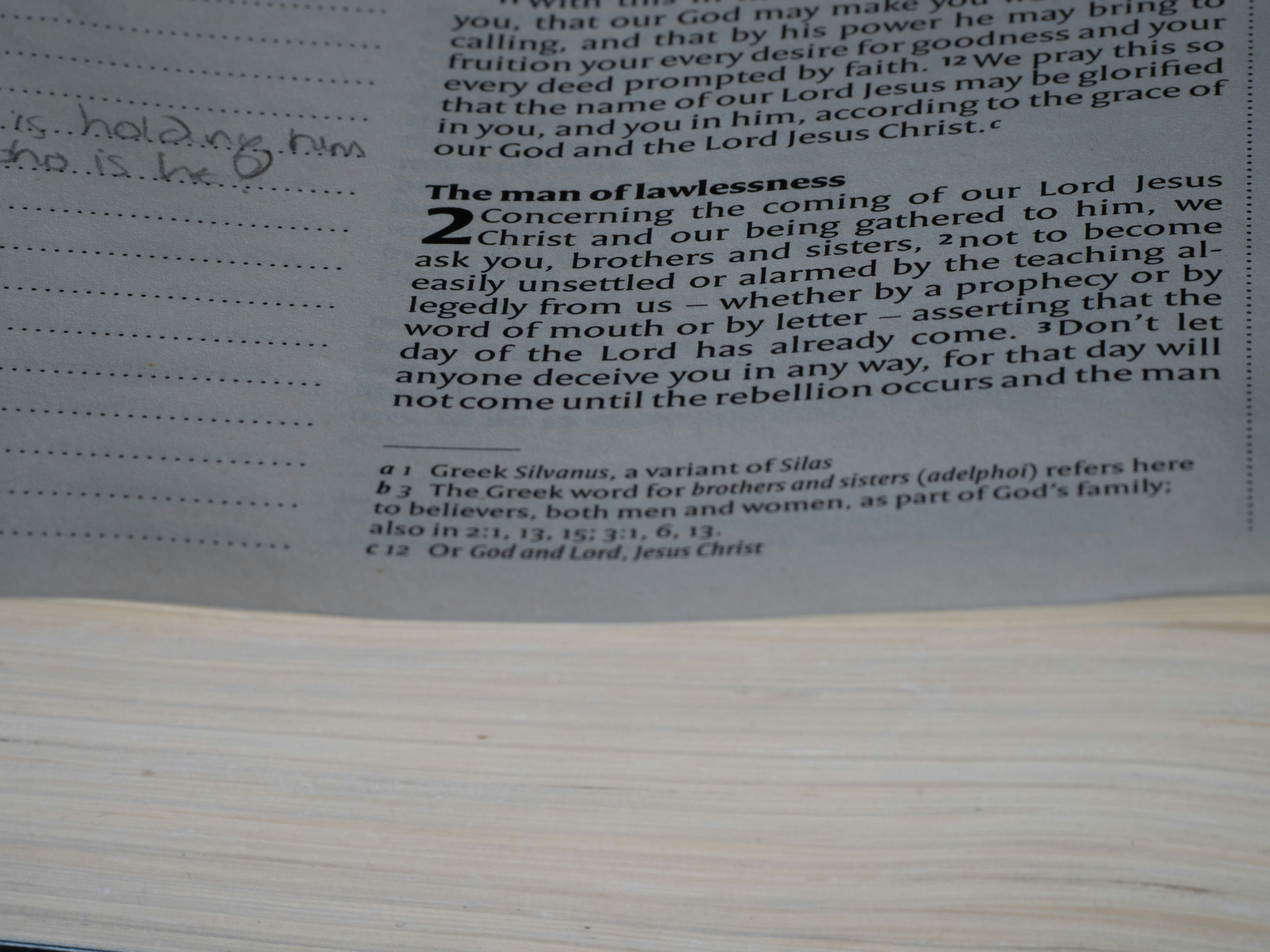 close up, bokeh, bible, new testament, christian, history, text, reading, bible study, devotions, christianity, scripture, epistle, letter, 2 thessalonians, paul, paul the apostle, second coming, holiness, love, hope,