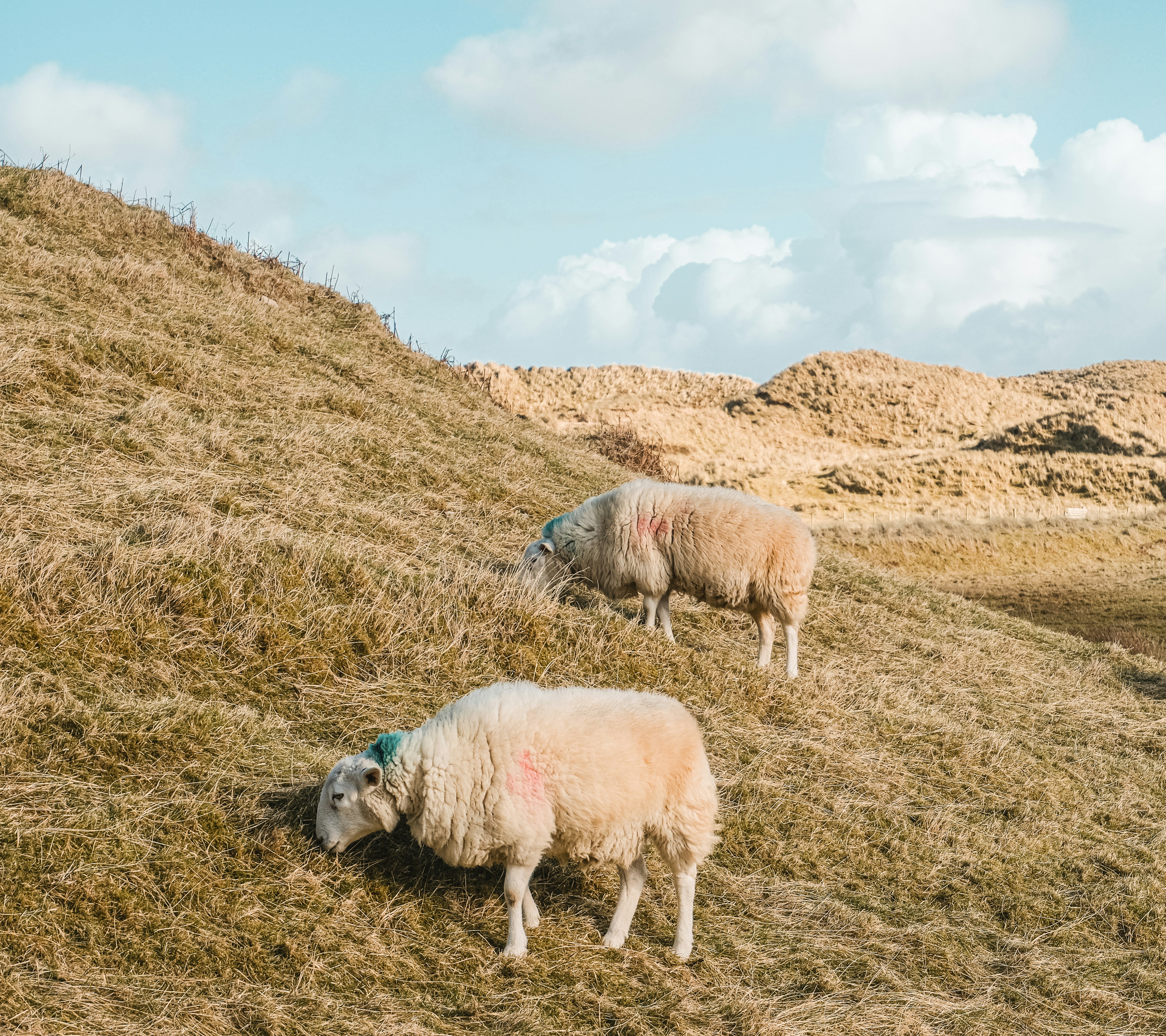 Photo by itsaroadmap