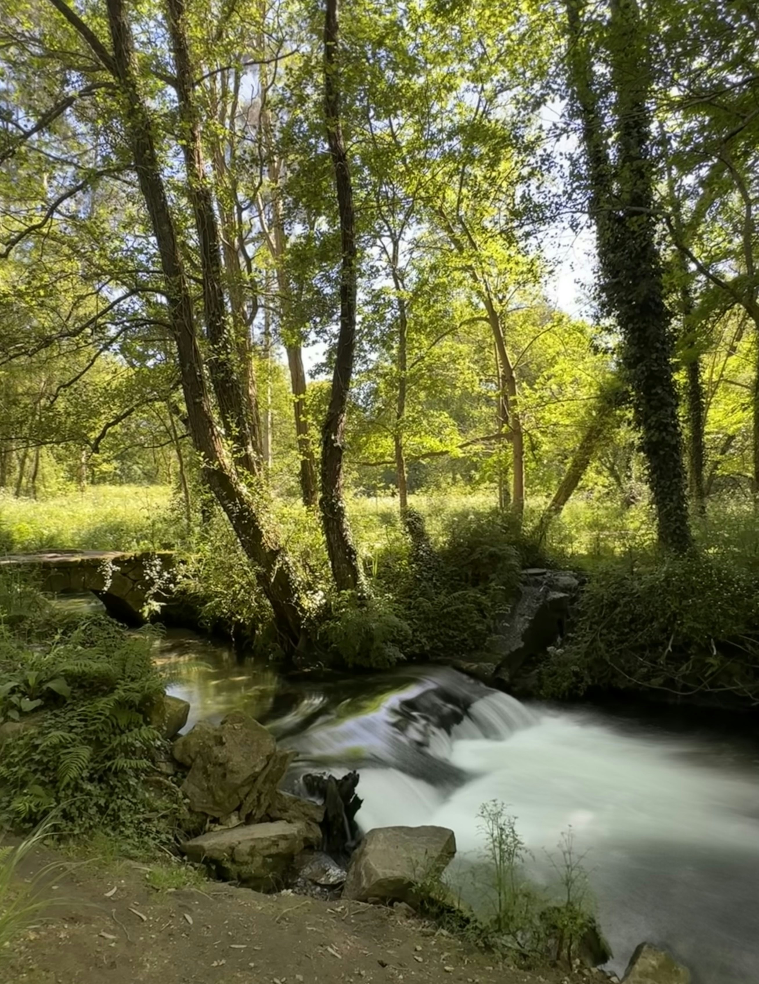 Photo by sergei_gussev