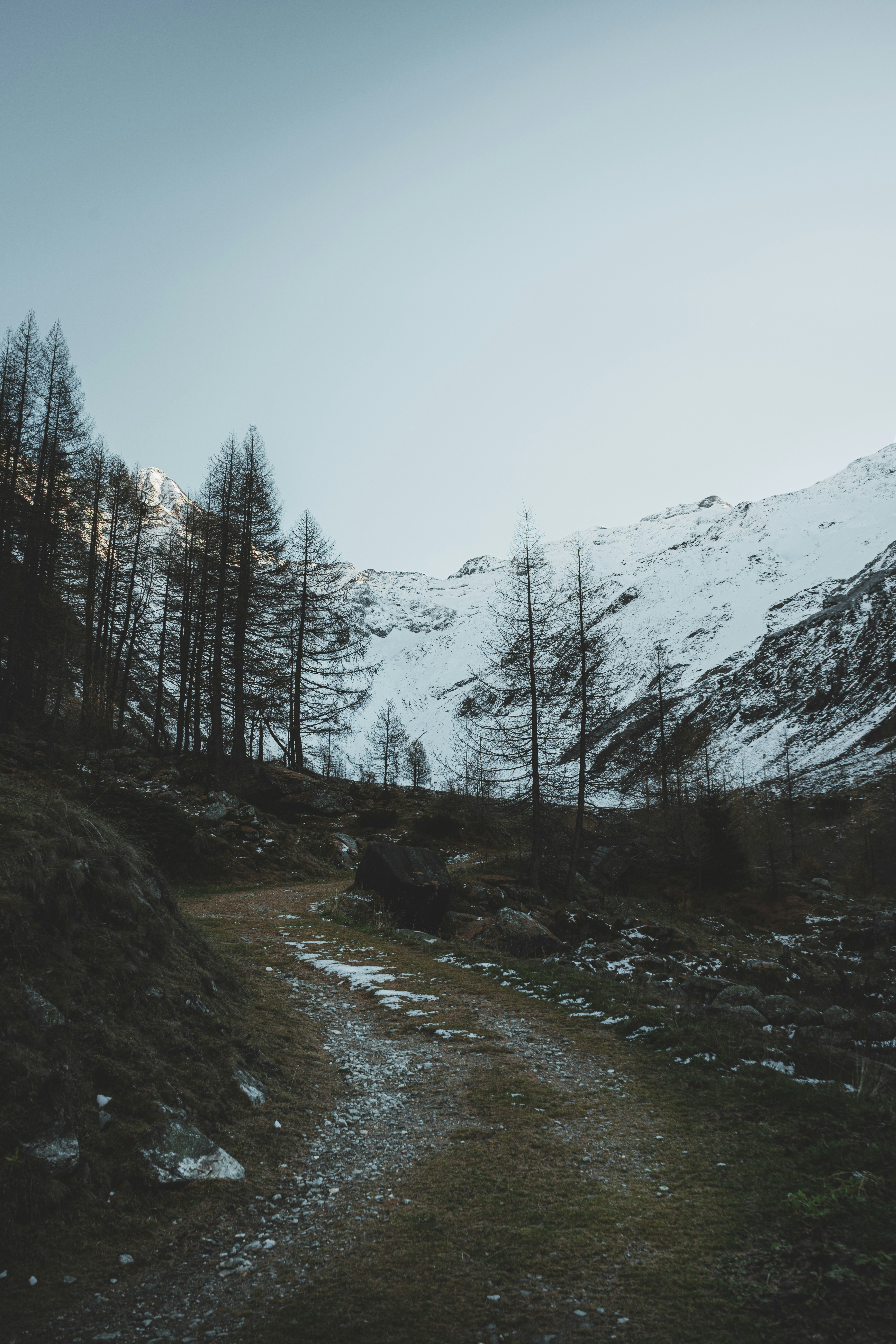 The Forgotten Art of Sharpening That Changes Everything You Make