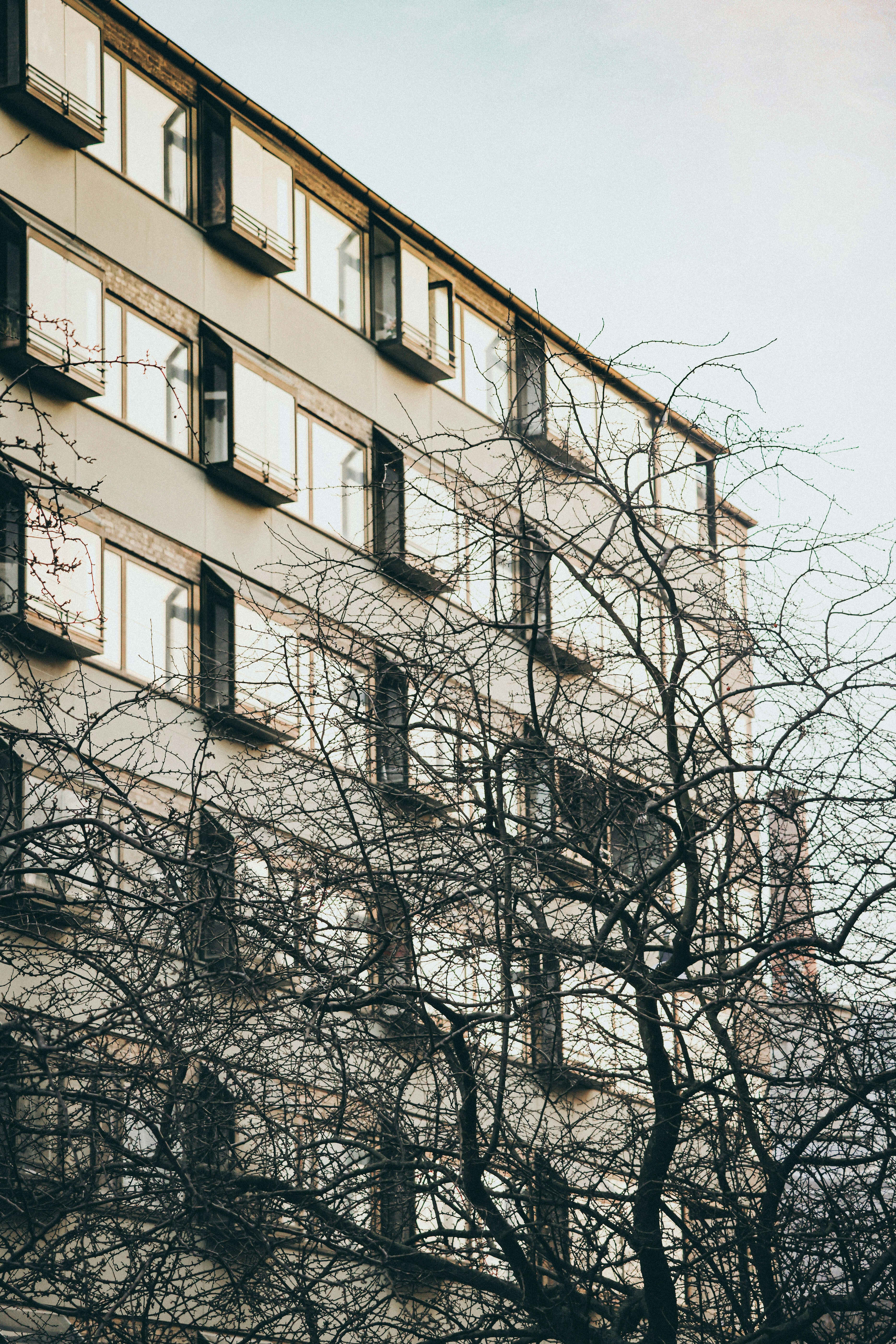 Photo by nickkarvounis