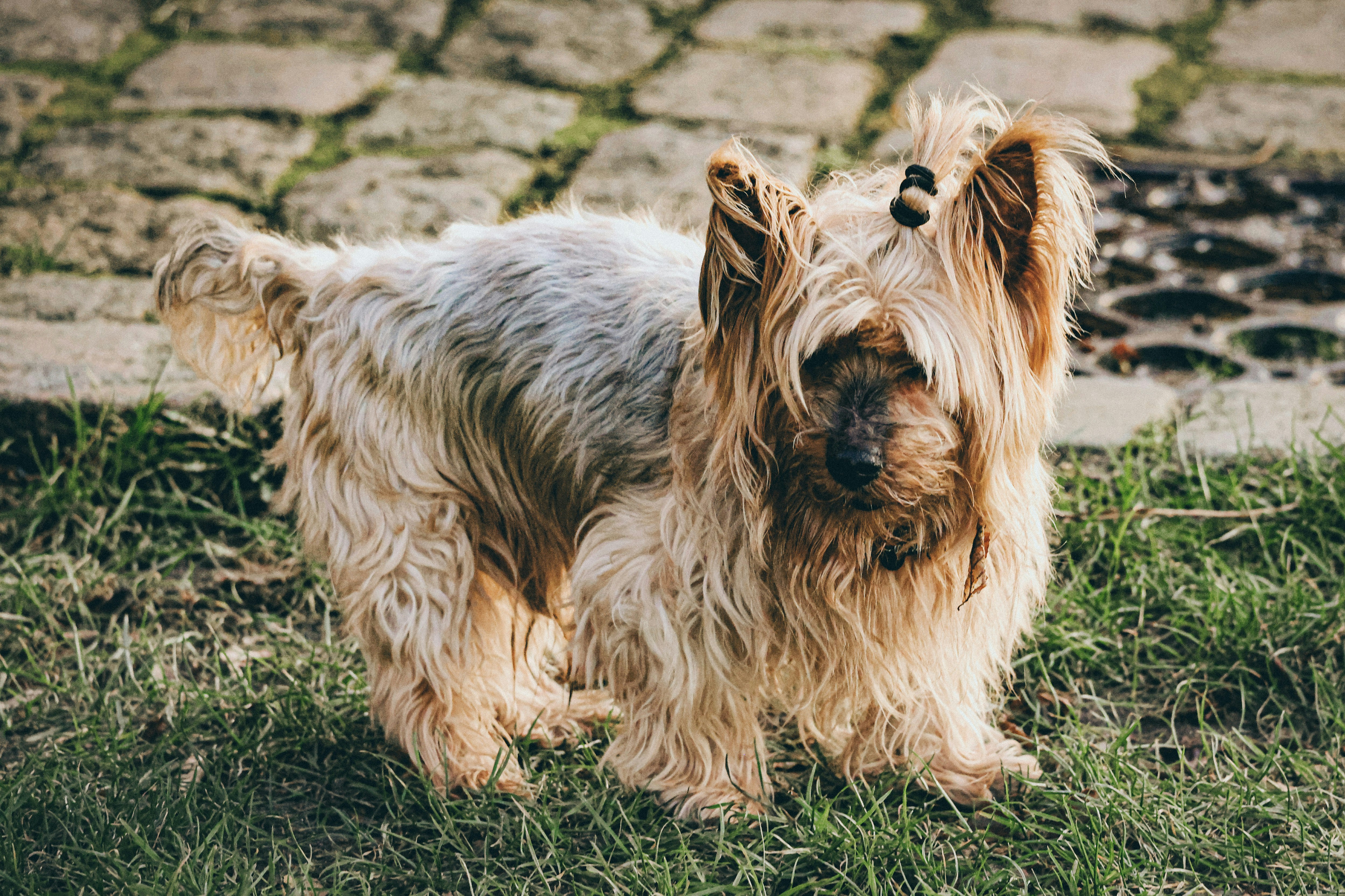 Photo by nickkarvounis