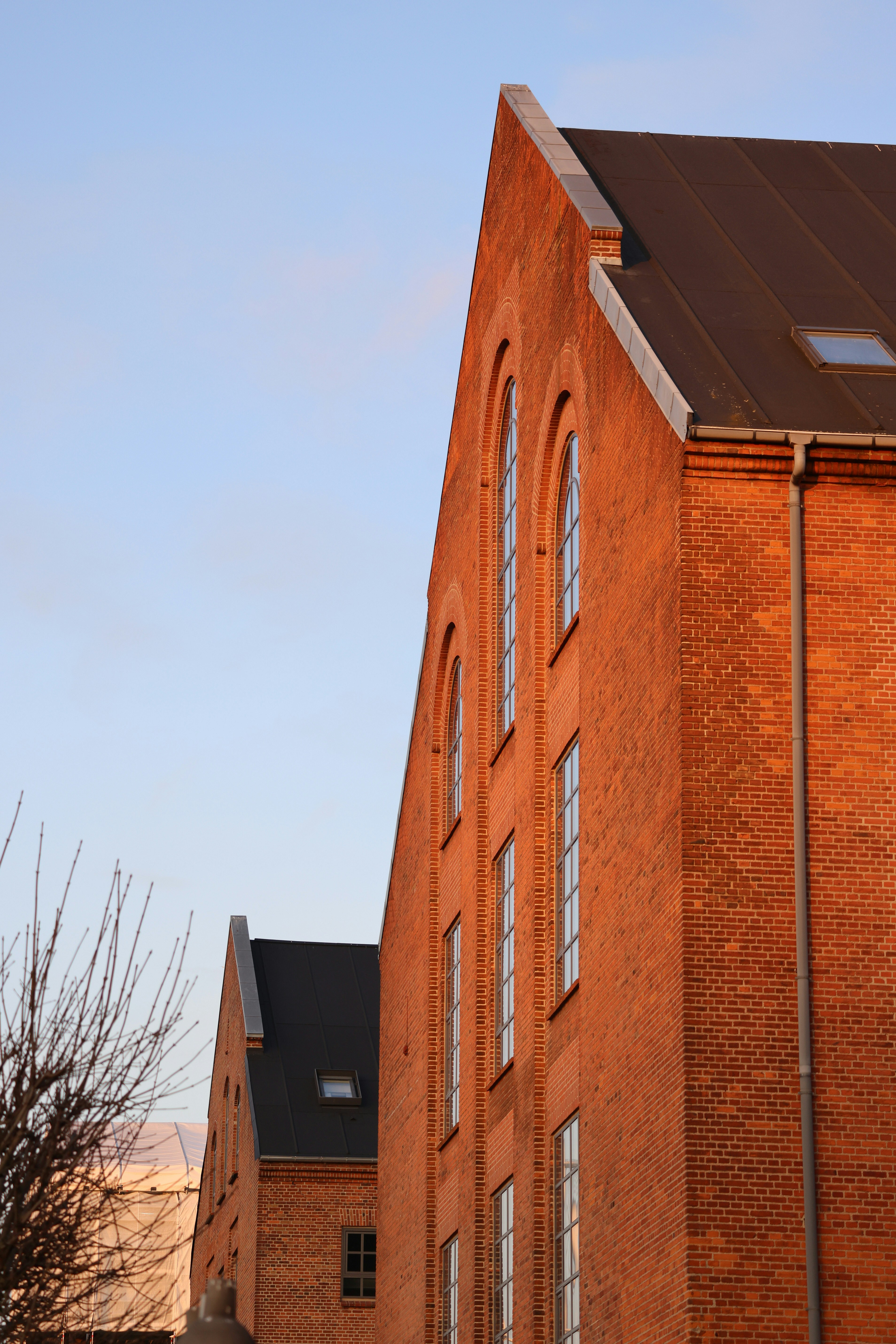 Photo by nickkarvounis