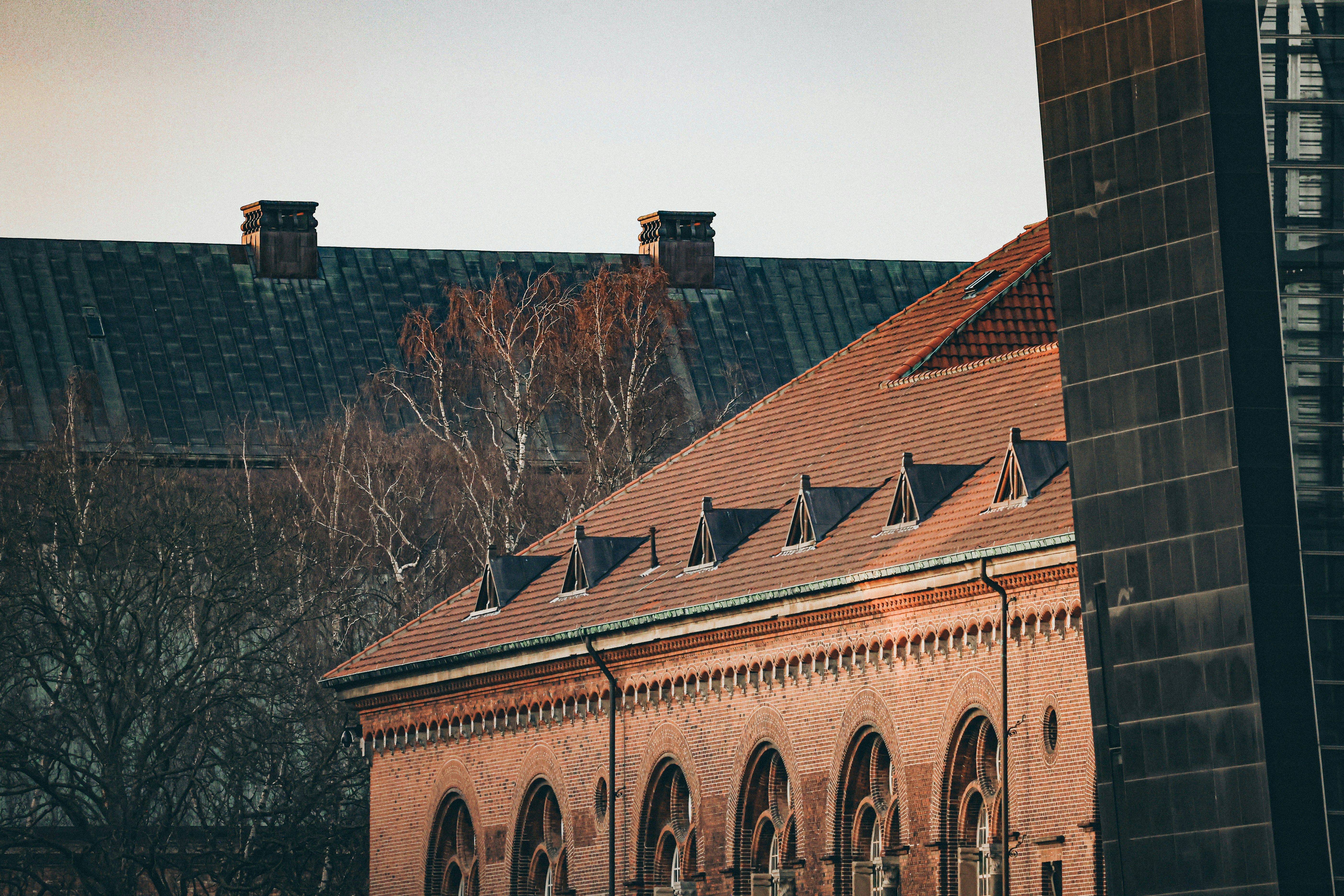 Photo by nickkarvounis