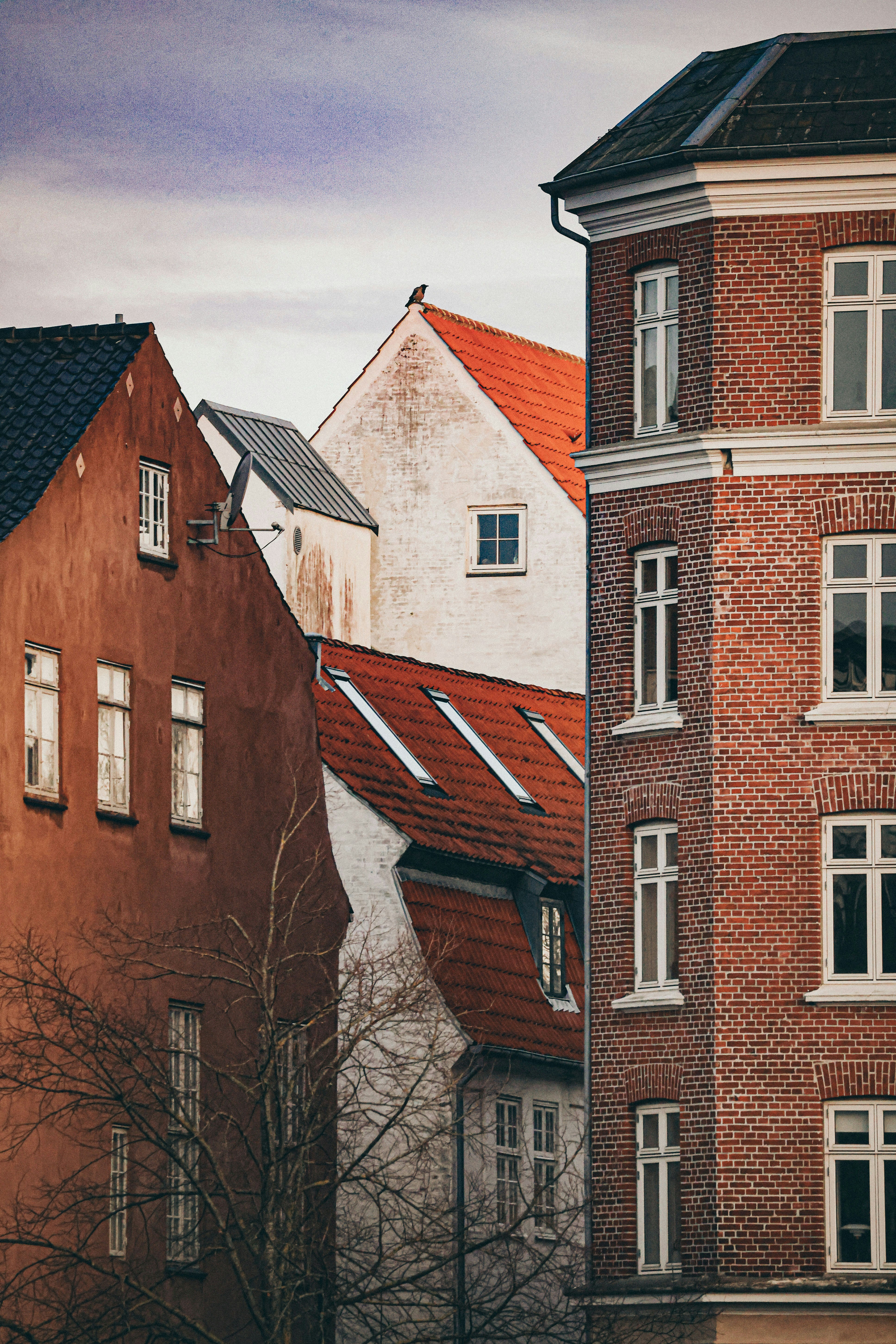 Photo by nickkarvounis