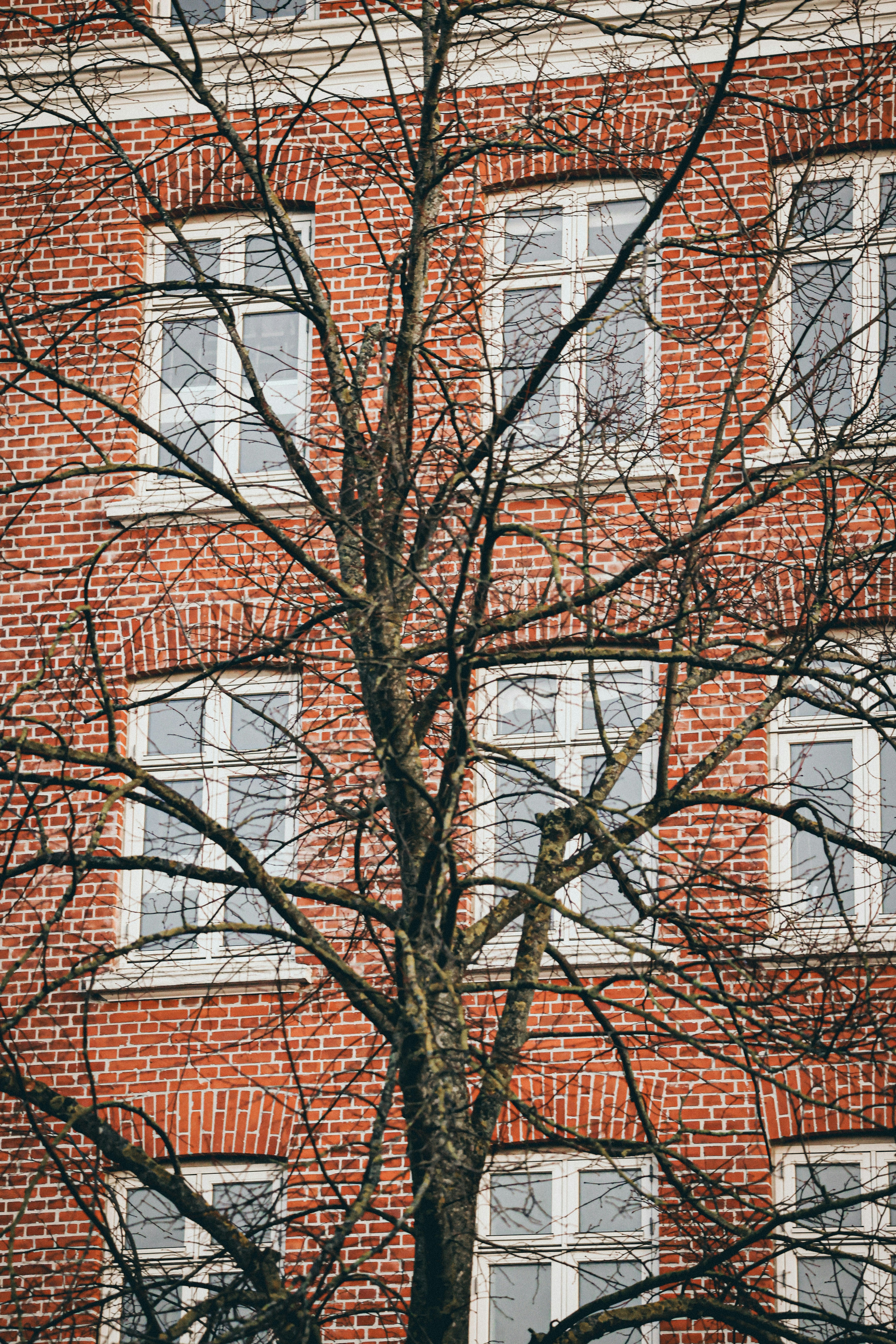 Photo by nickkarvounis