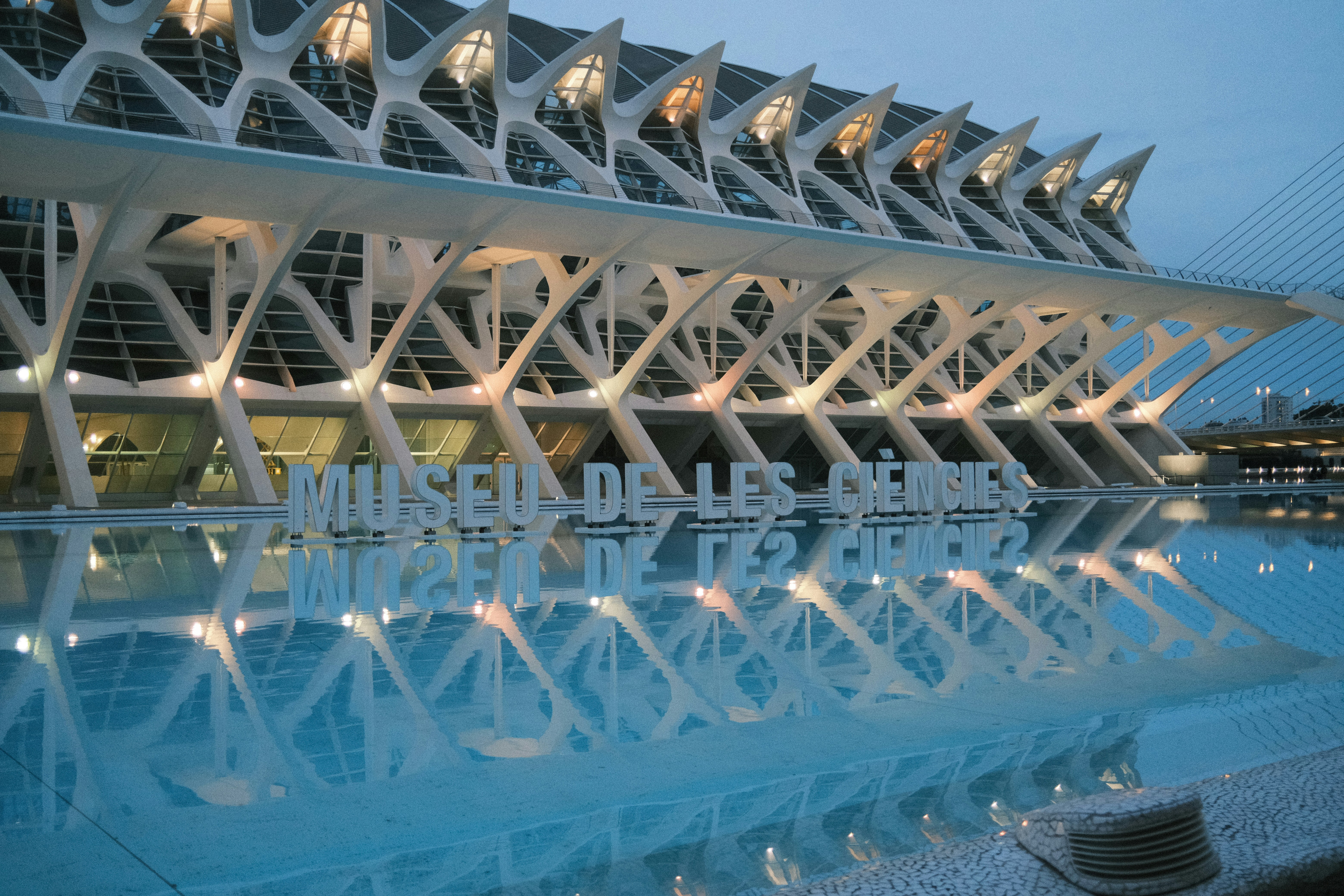 The city of arts and sciences in valencia.