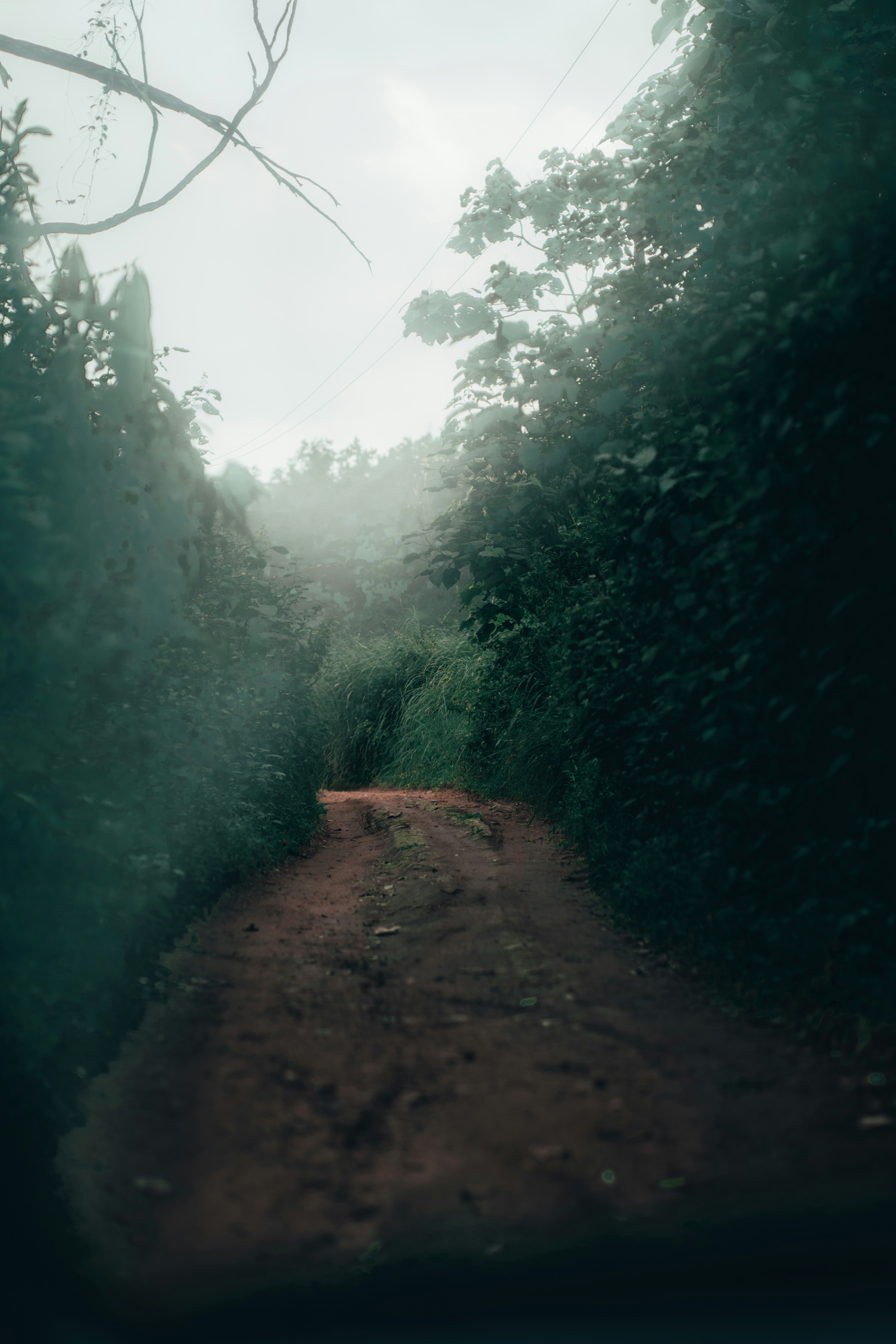 Photo by aravind_balabhaskar