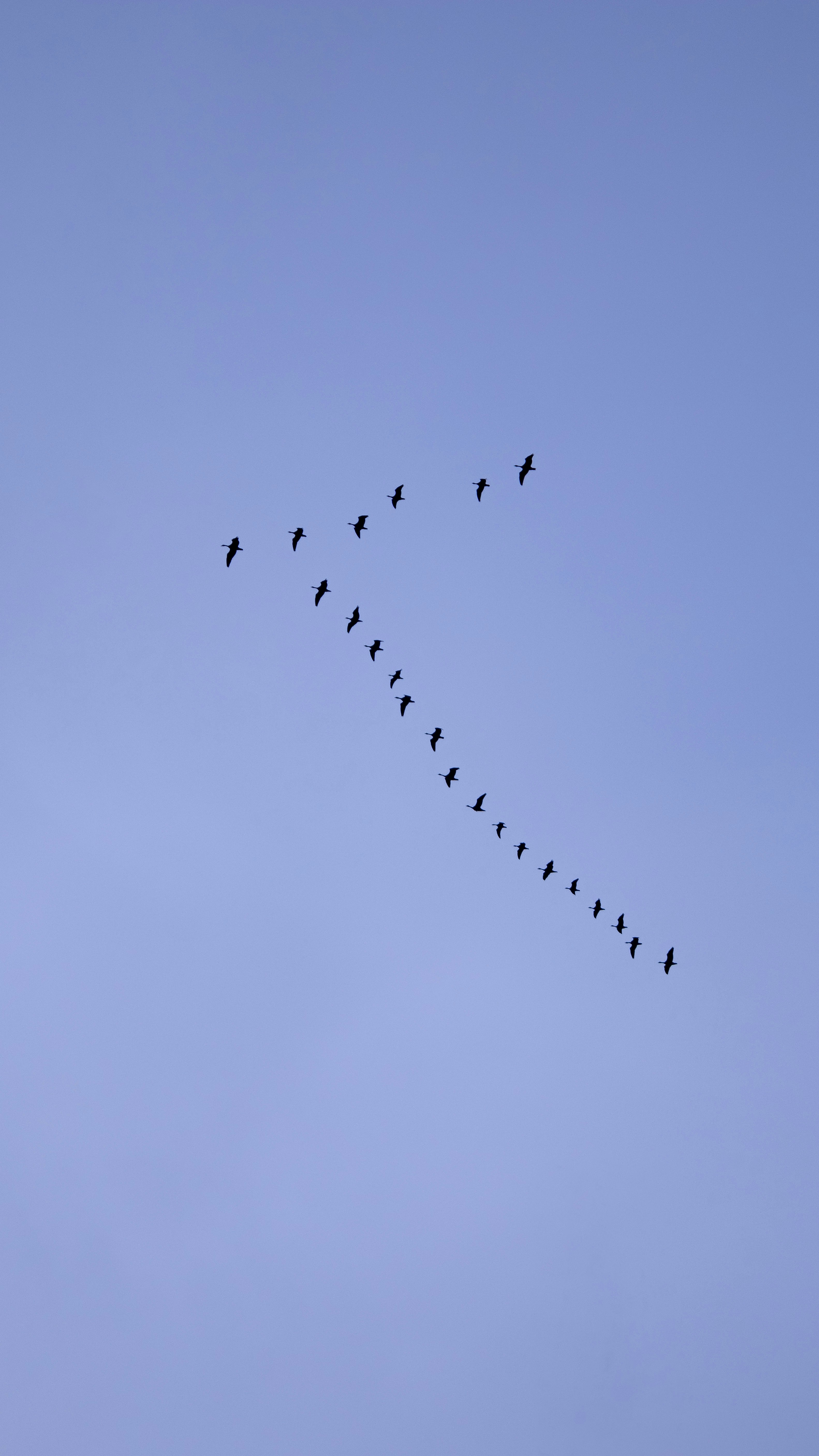 Photo by bladeoftakumi