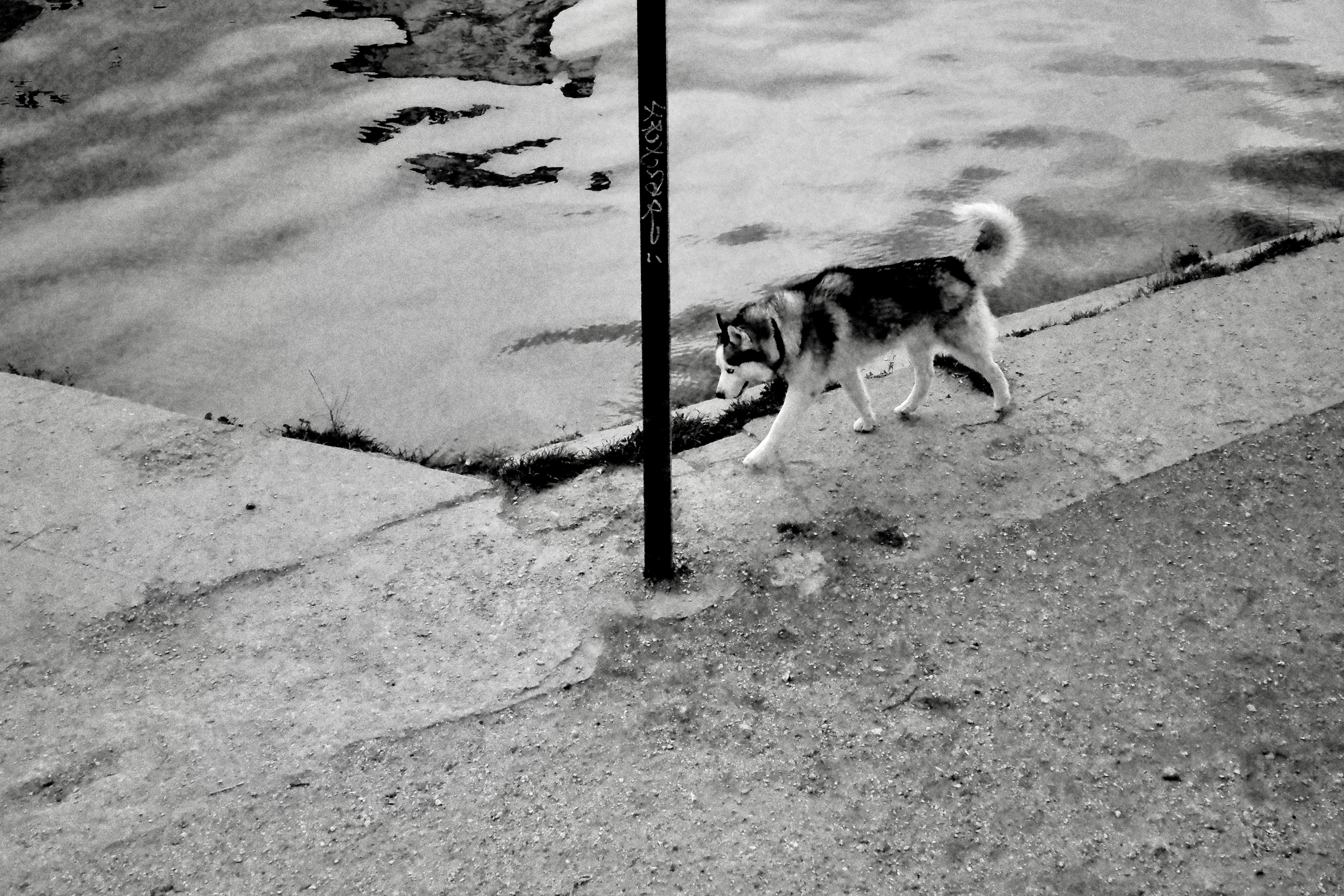 Photo by tomasrobertson