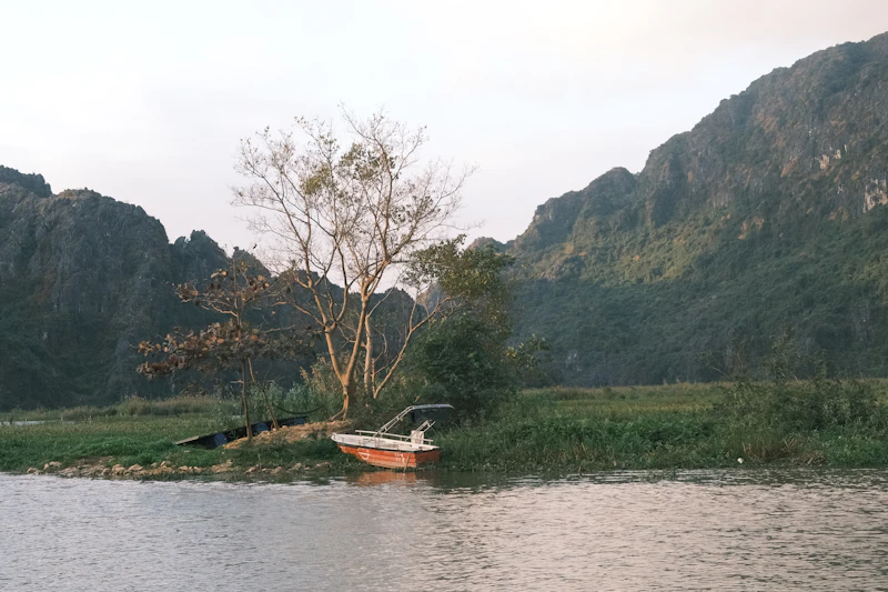 Best Hidden Speakeasies in Ninh Binh You Need a Tip to Find