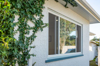 Ivy climbs a white wall near a window.