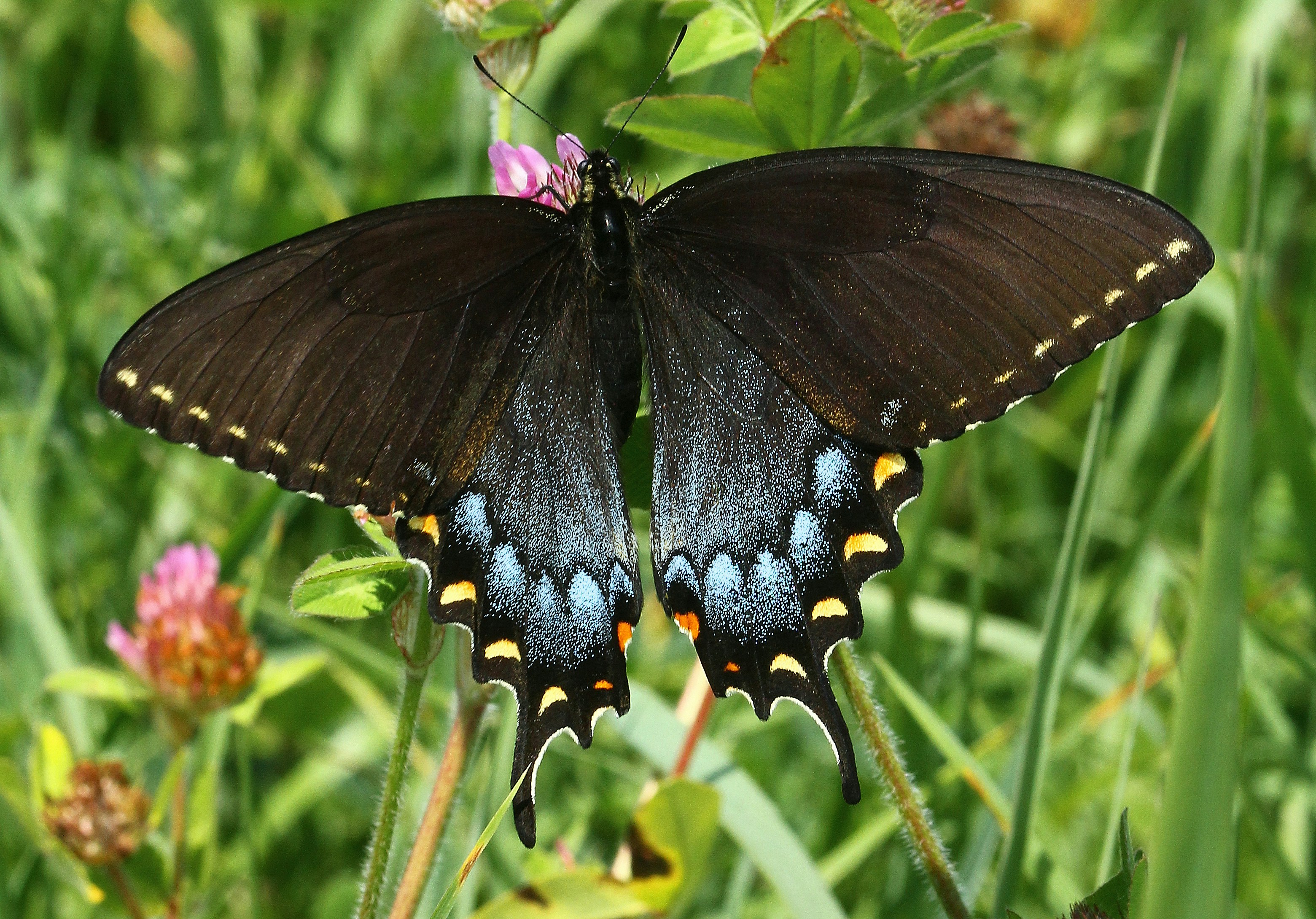 Photo by telliottmbamsc