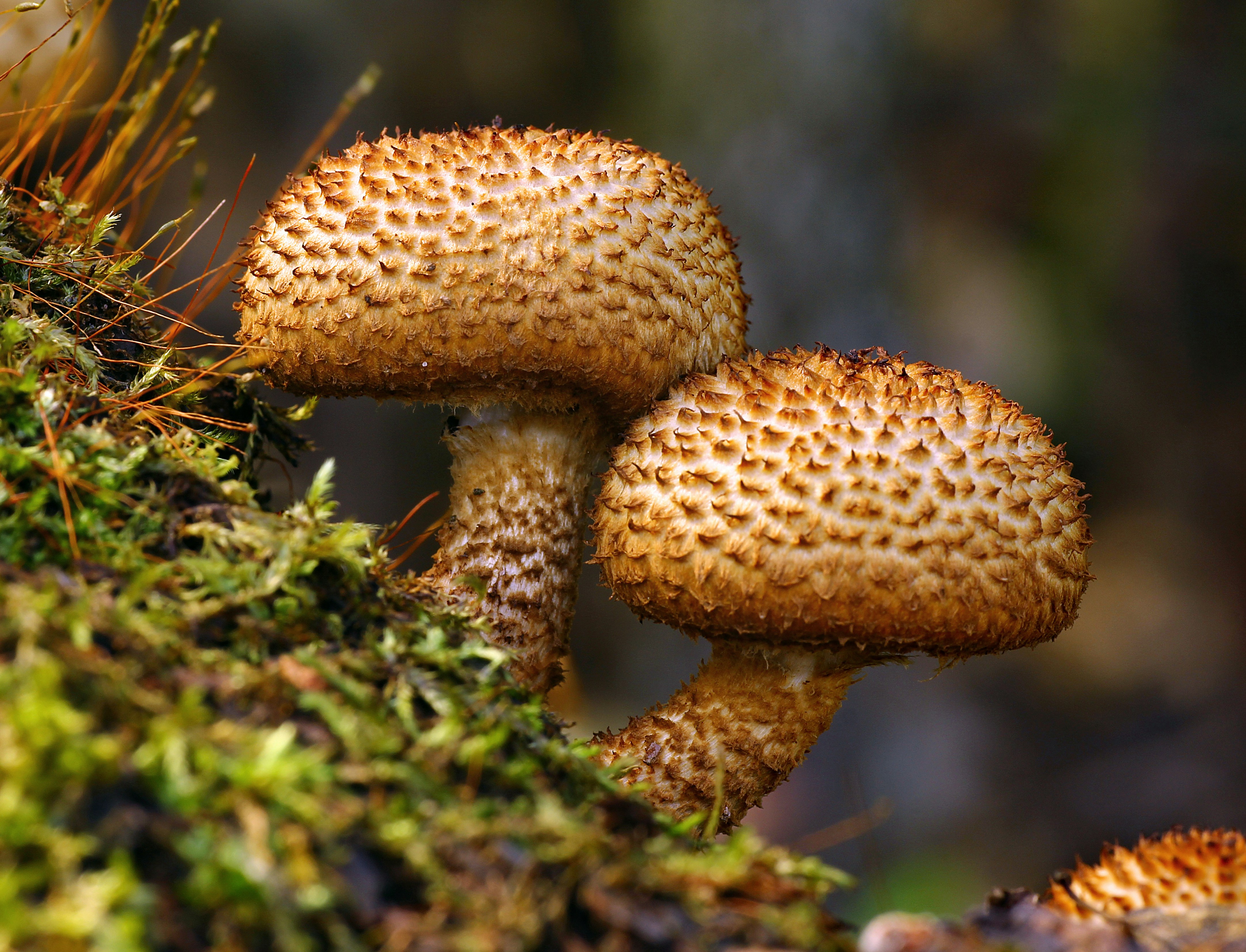 Photo by telliottmbamsc