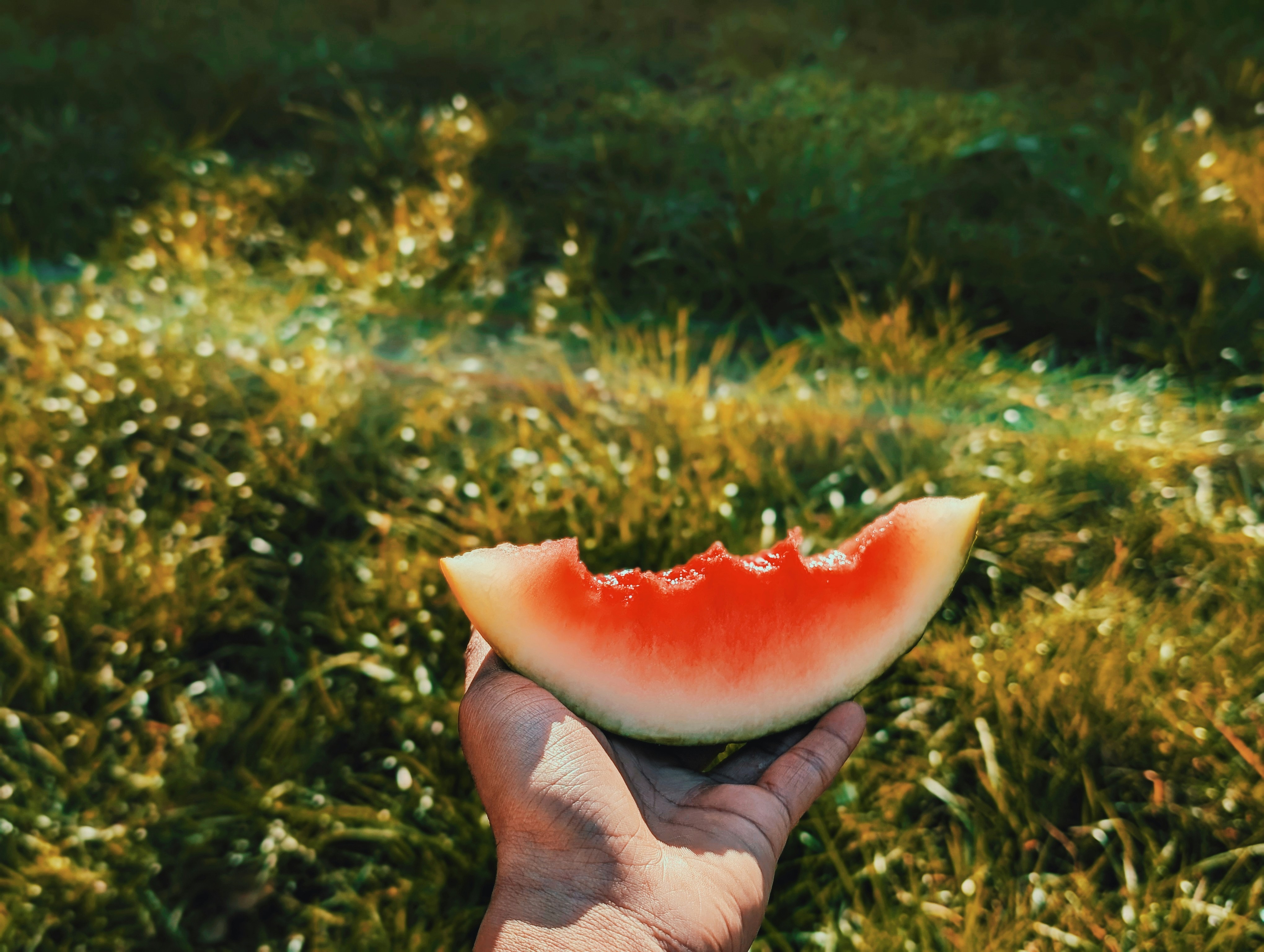 Unearthing the Golden Secrets: The Abundant Health Benefits of Gold in Gold Watermelon