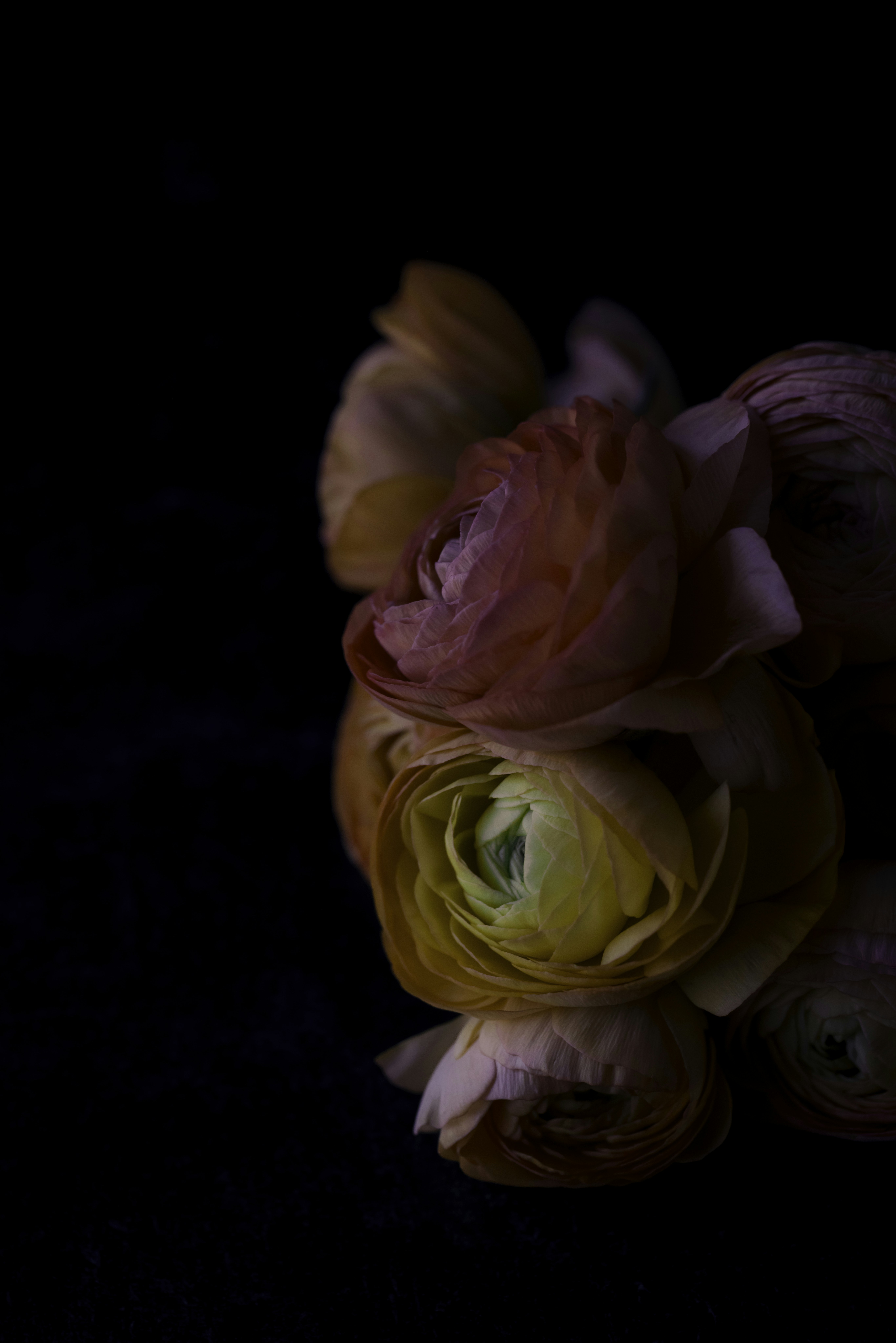 Photo by native7photo