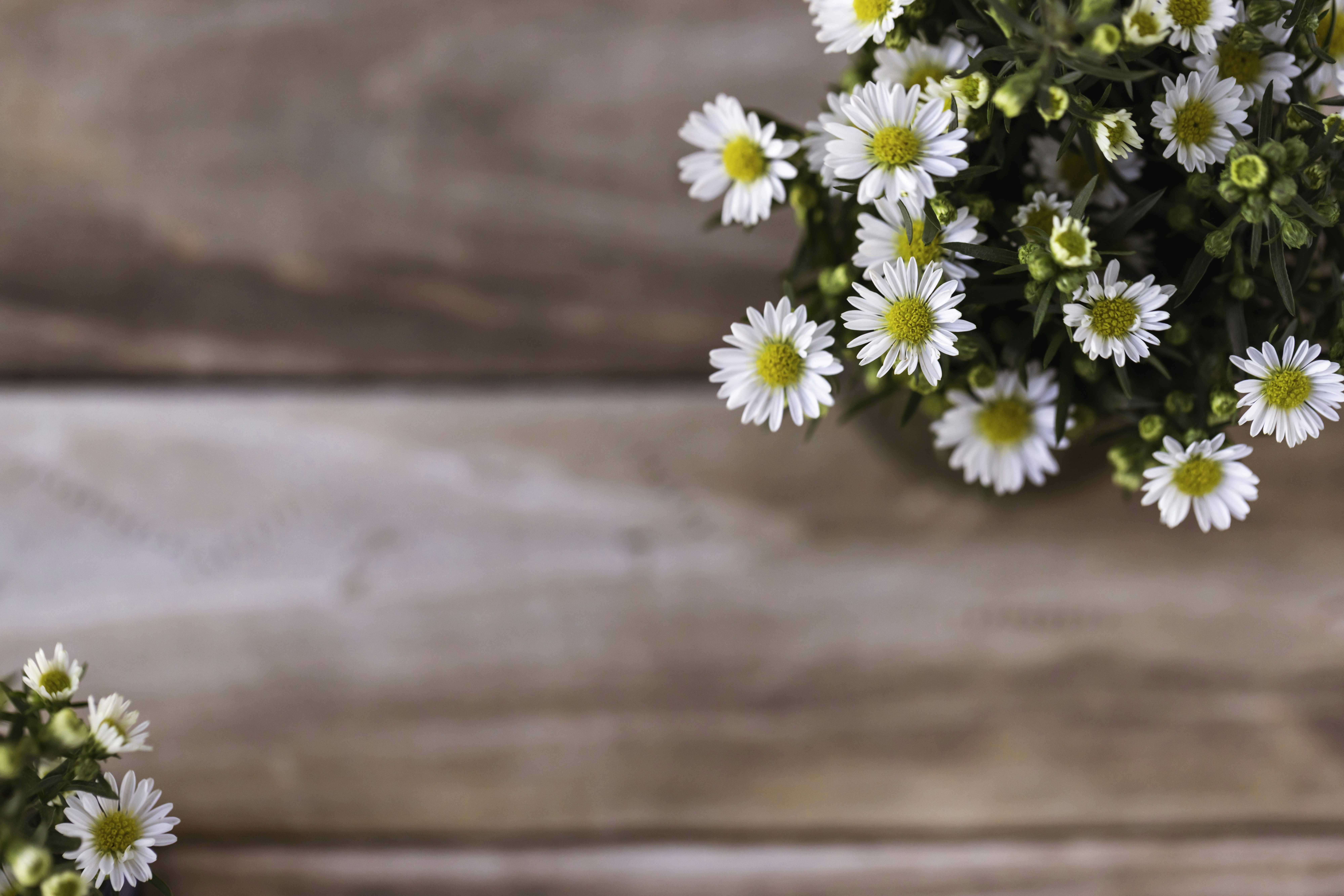 Photo by native7photo