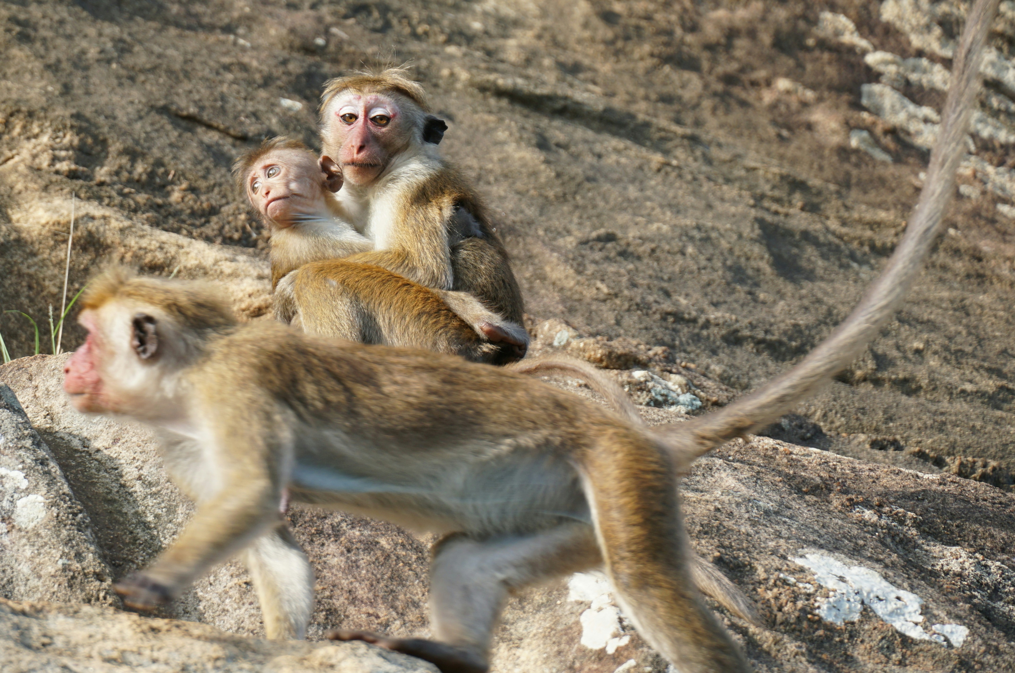 Photo by qld_traveller