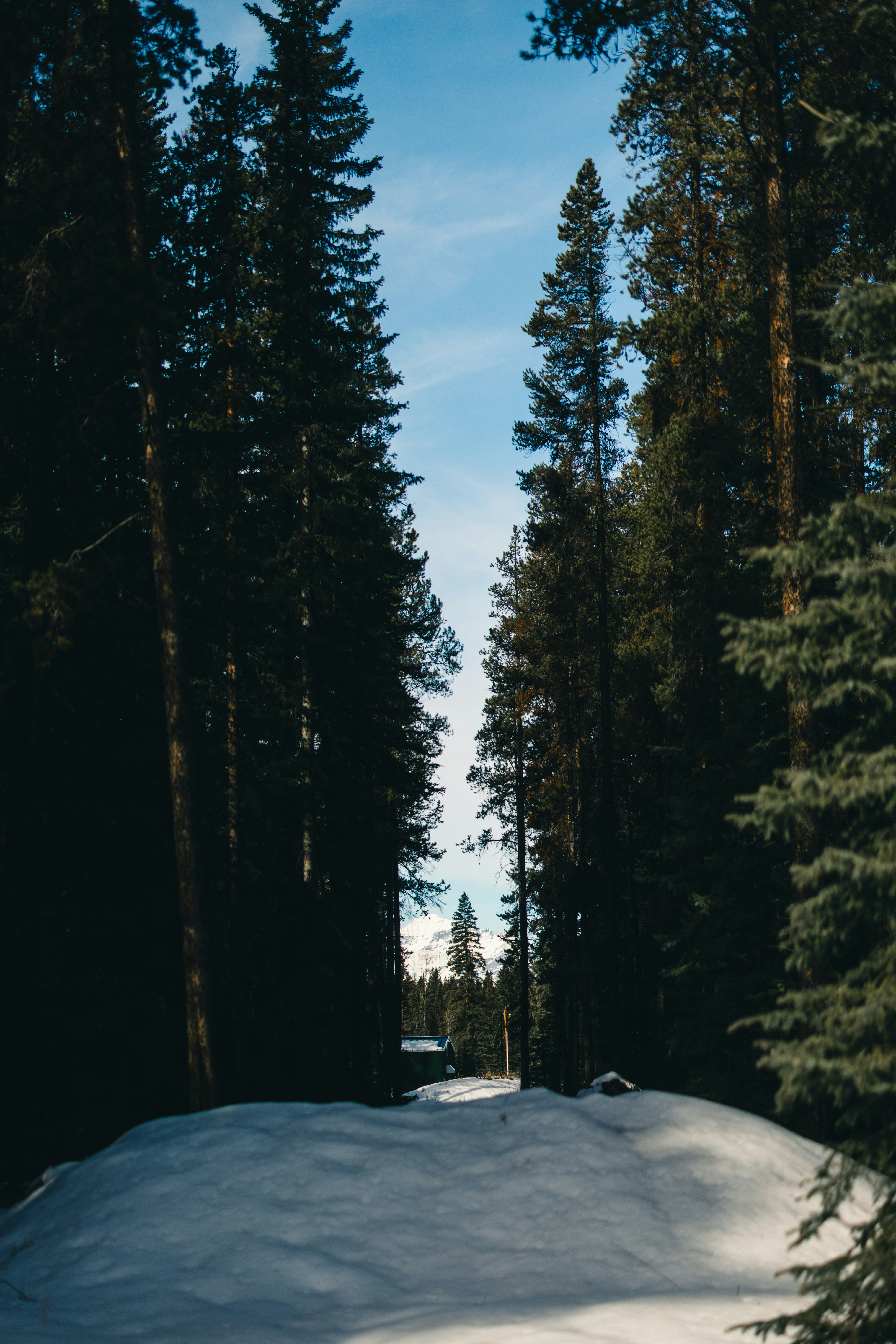 Photo by lureofadventure