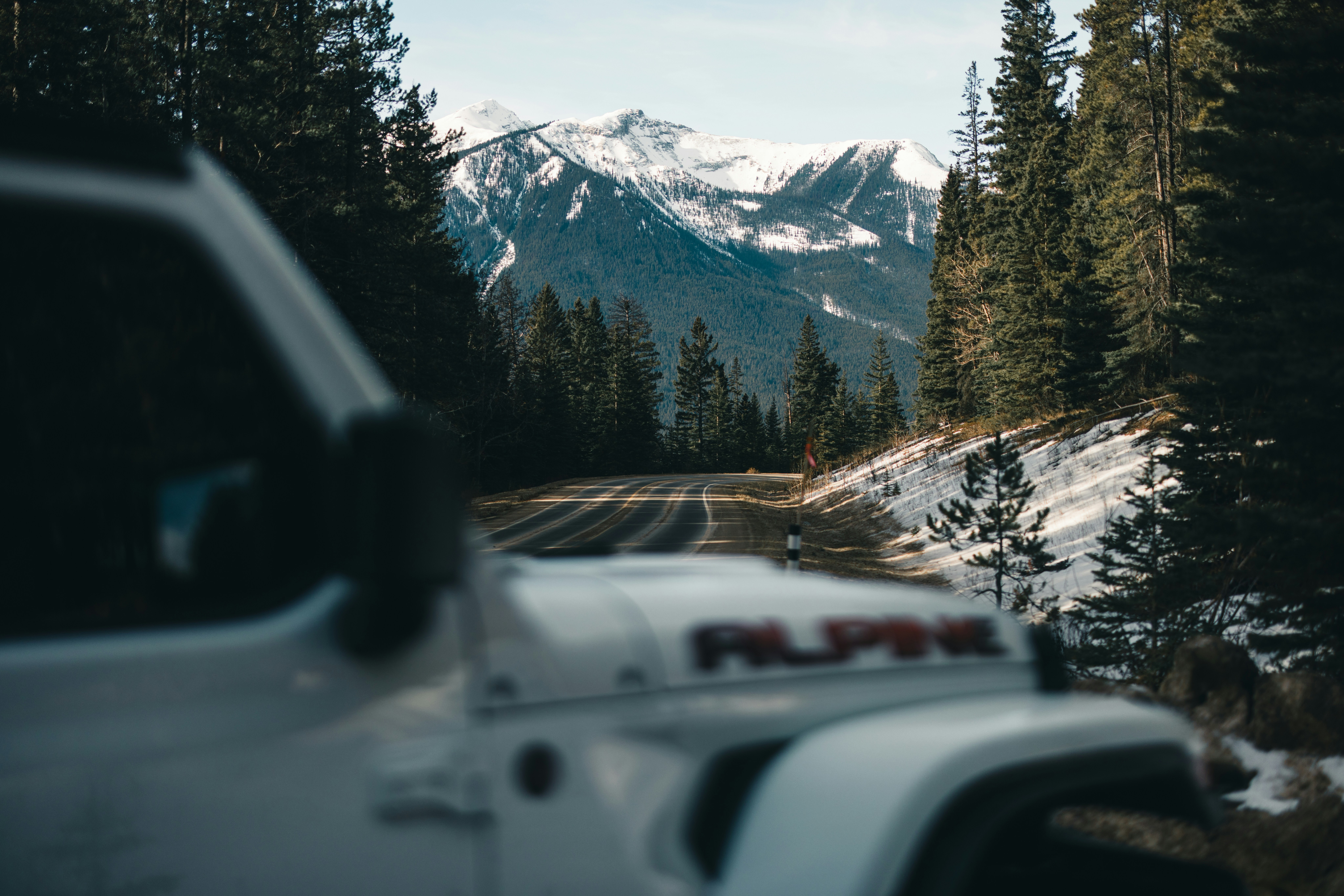 Discover Vintage Cars Available For Sale, Where Classic Appeal And Modern-Day Benefit Collide. Release Your Internal Auto Fanatic And Explore Our Beautiful Collection Today!