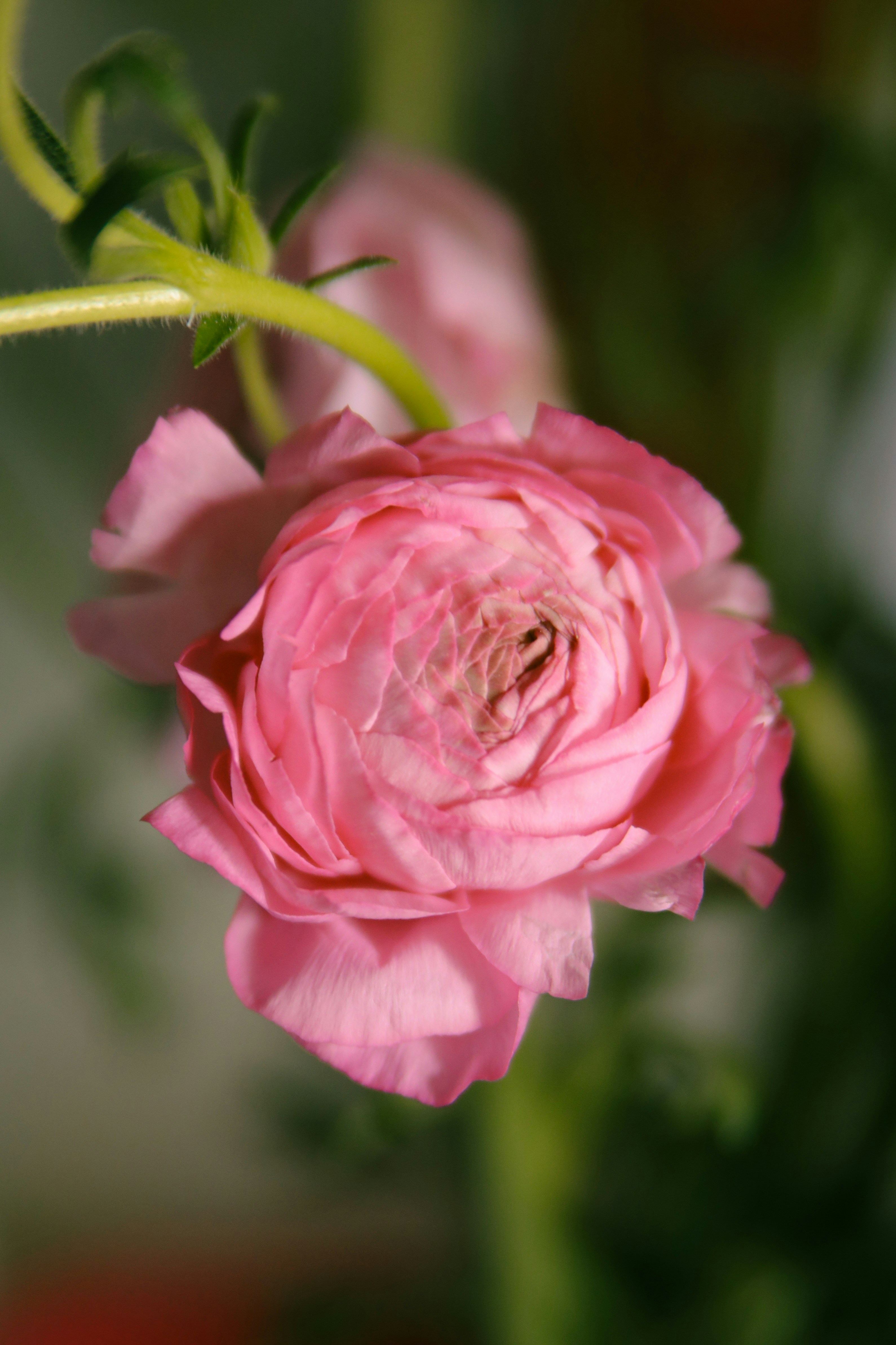 Photo by unclpenguin