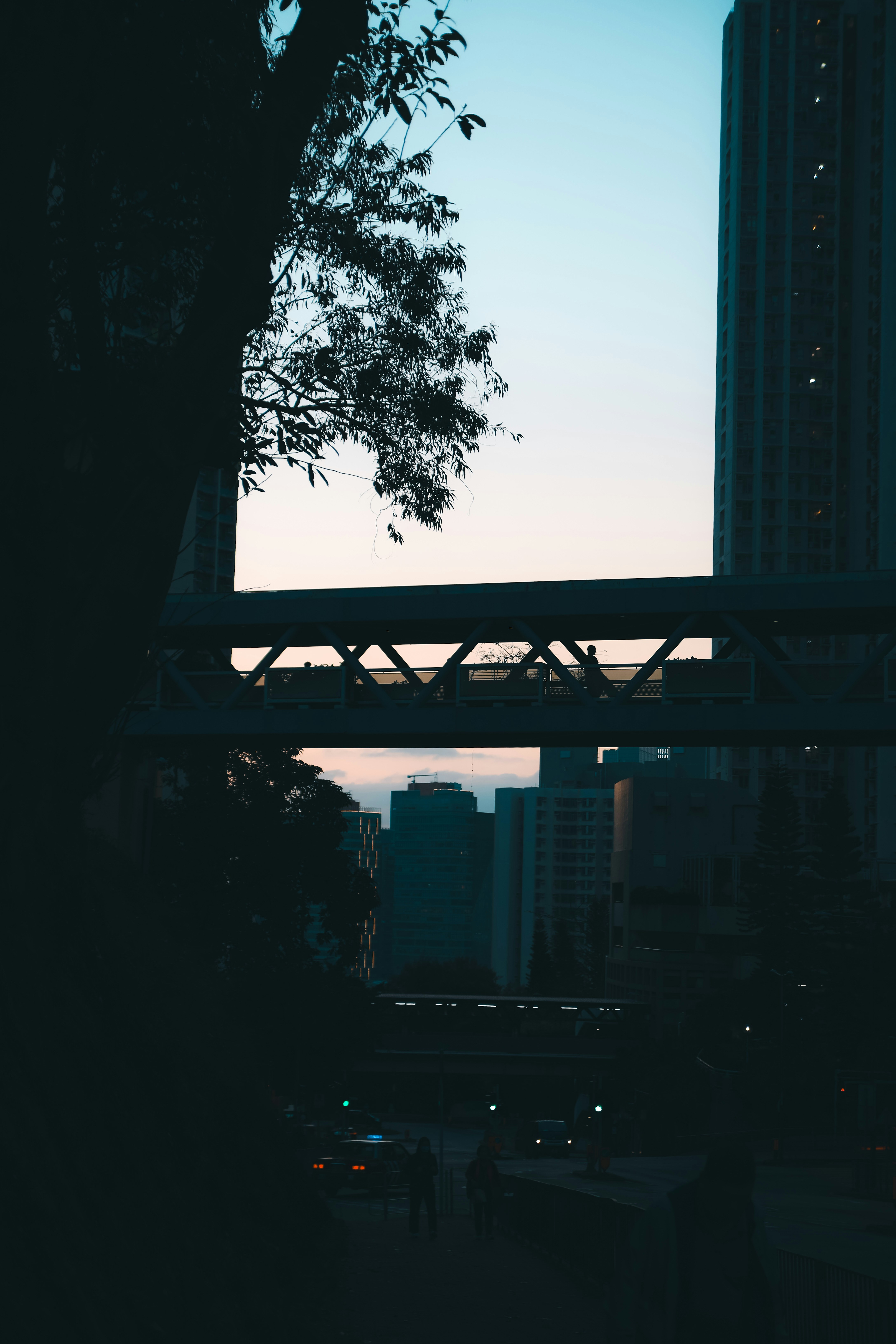 Photo by unclpenguin