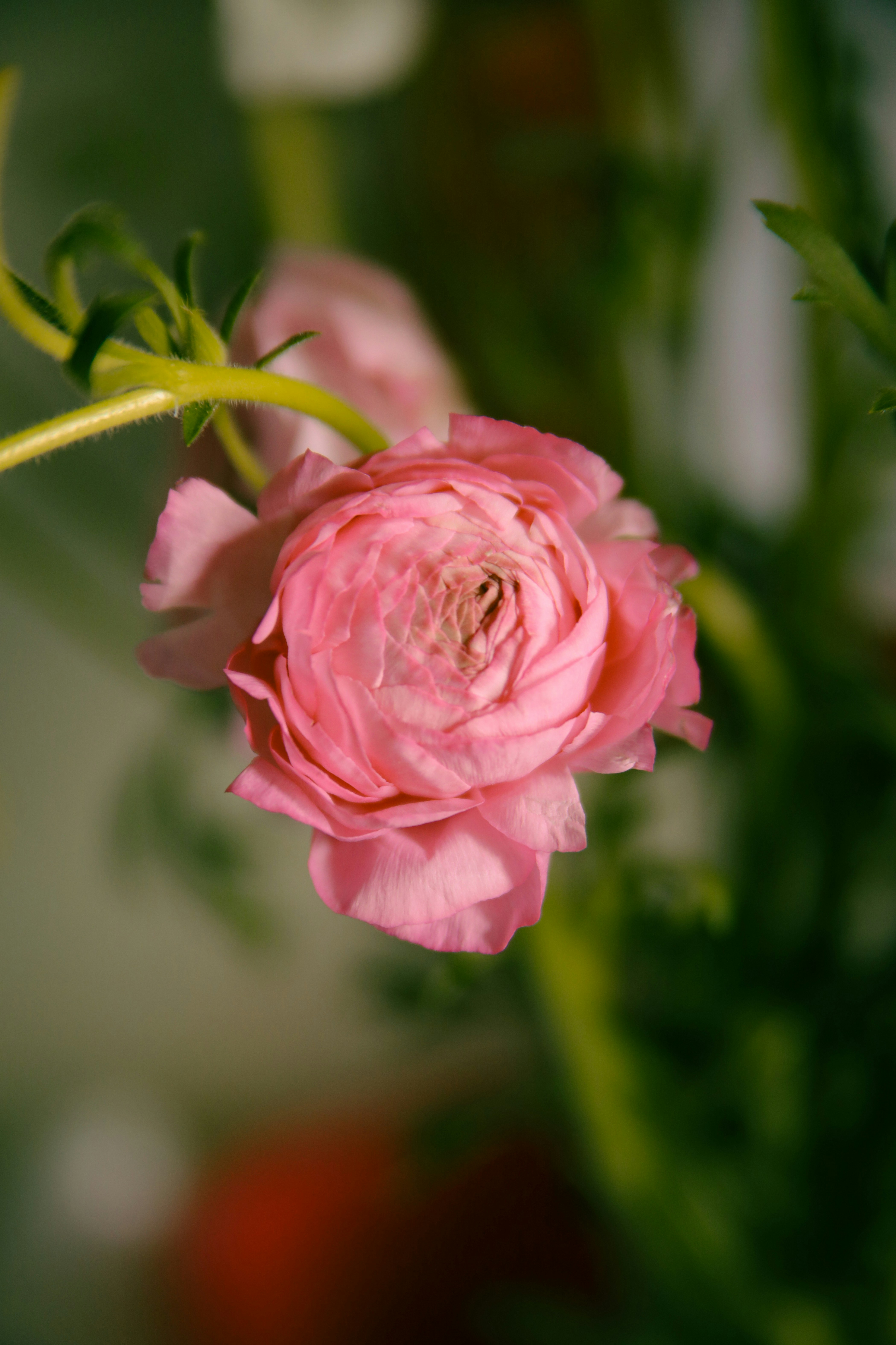 Photo by unclpenguin