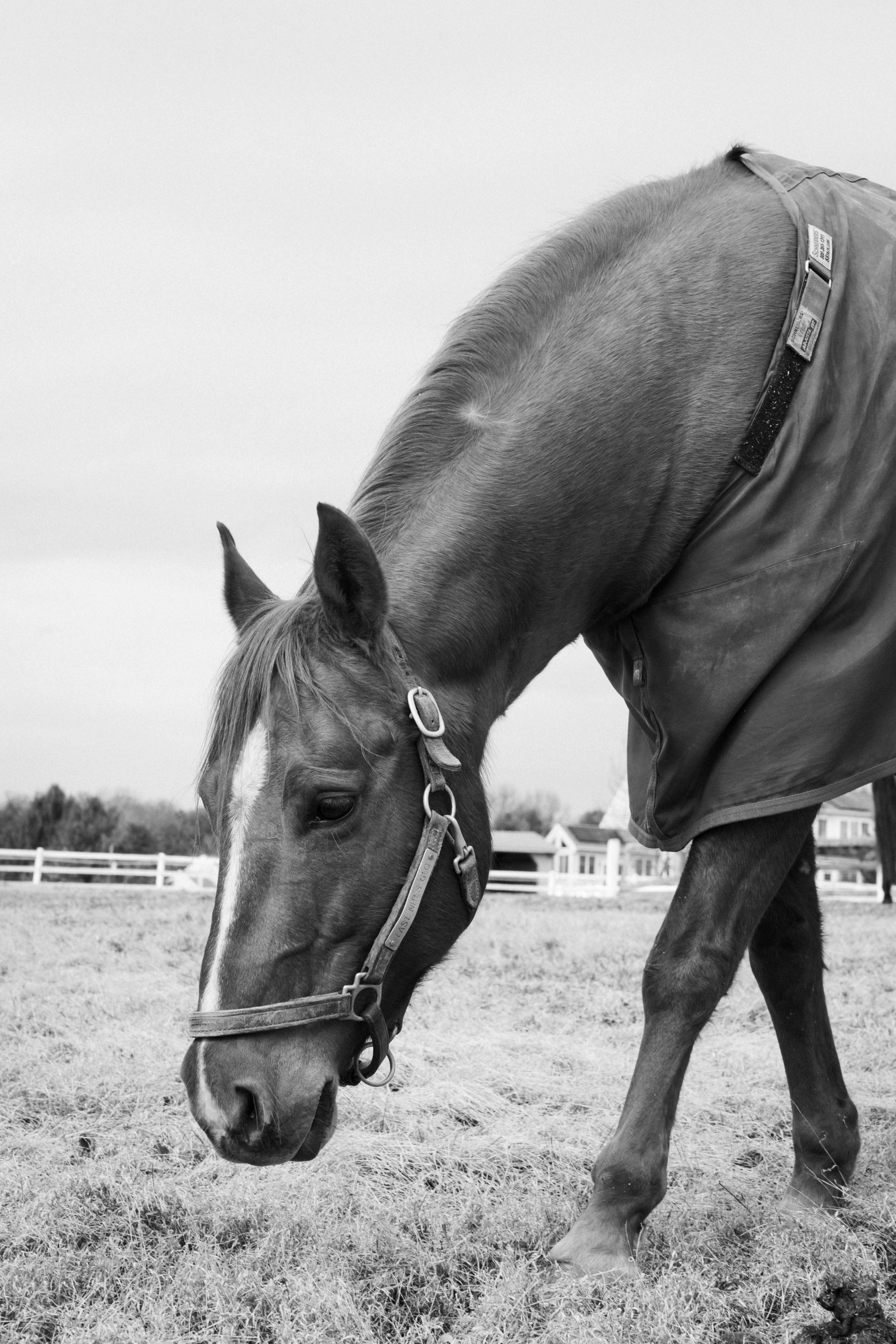 Photo by nellie_adamyan