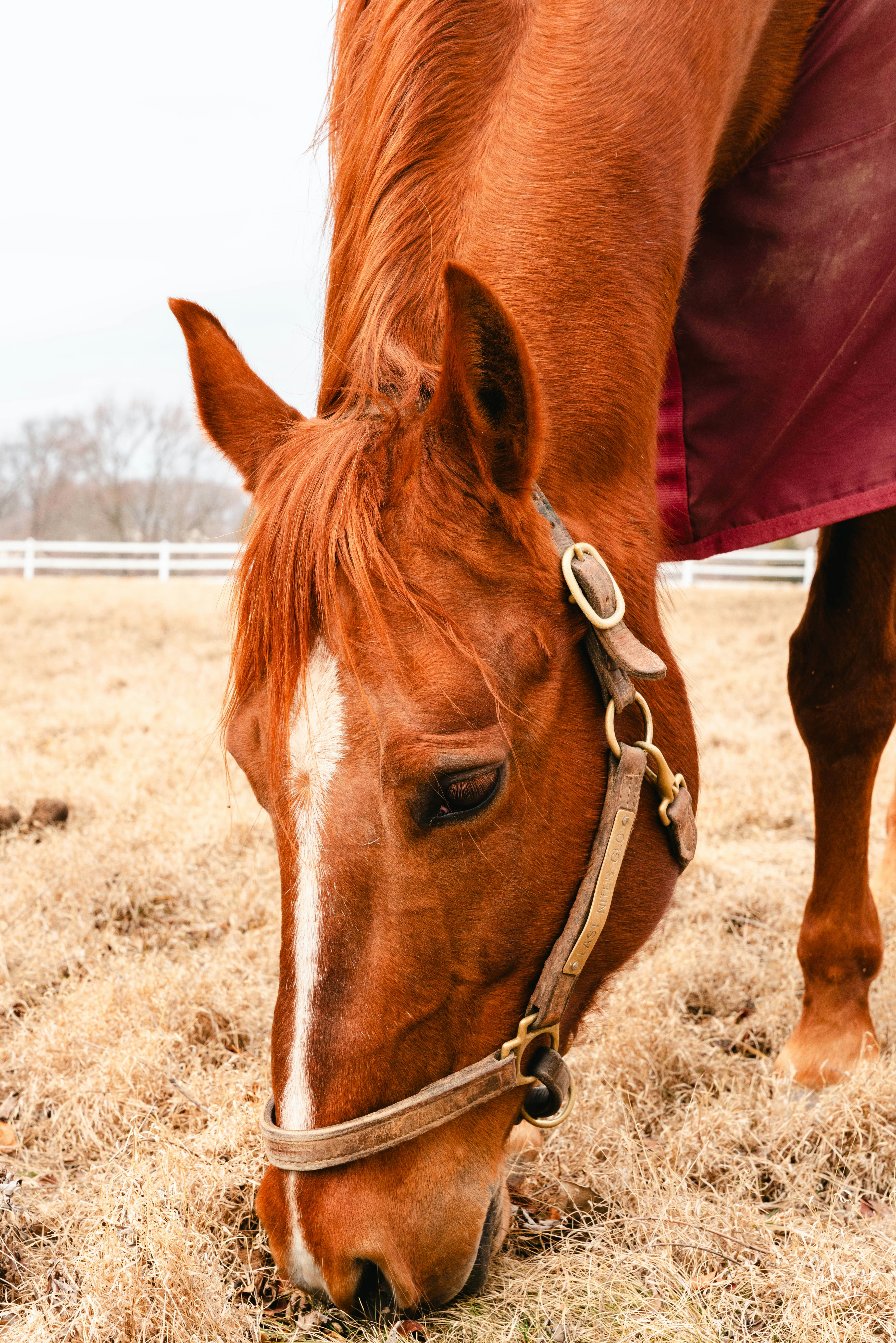 Photo by nellie_adamyan