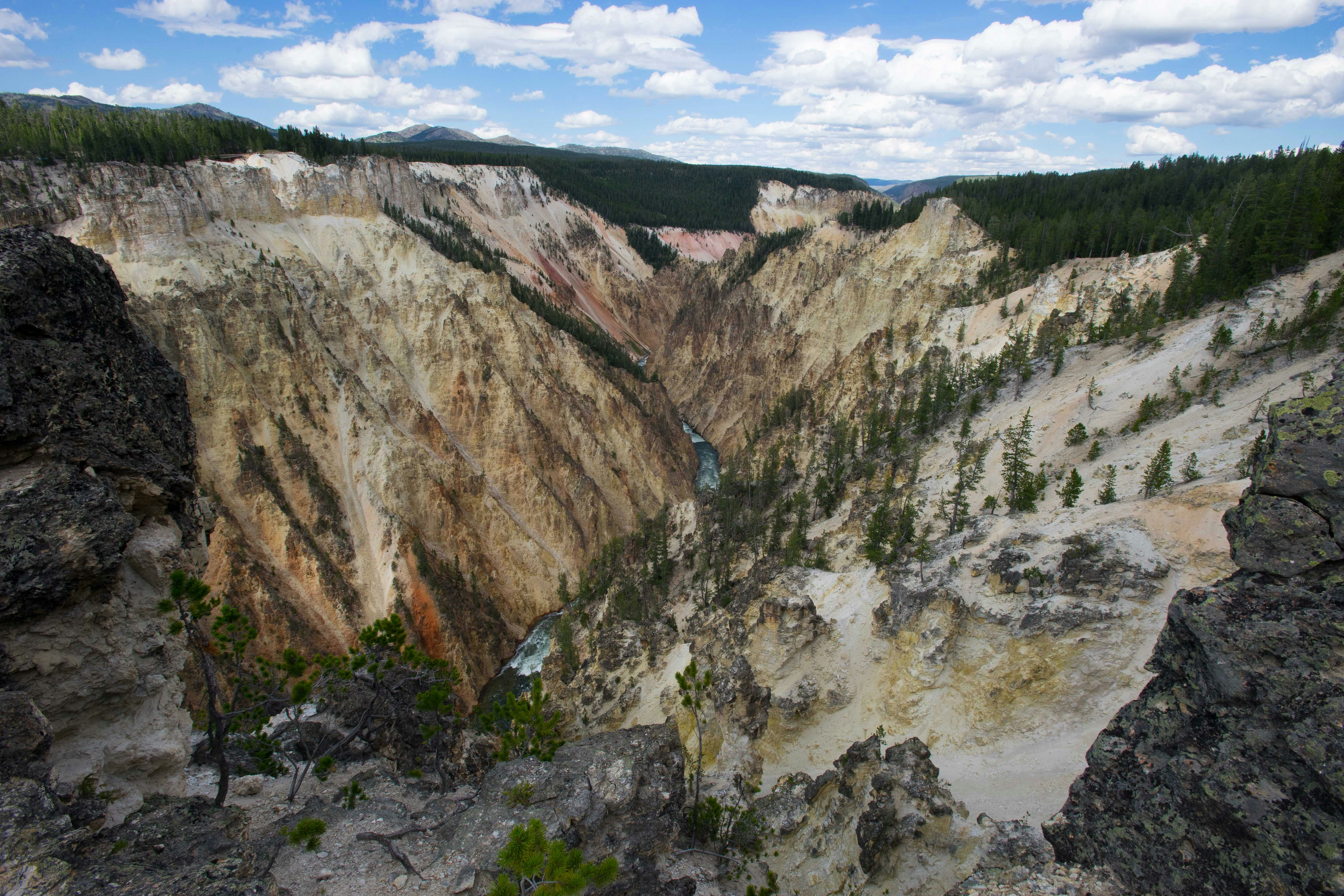 Photo by earthstar111