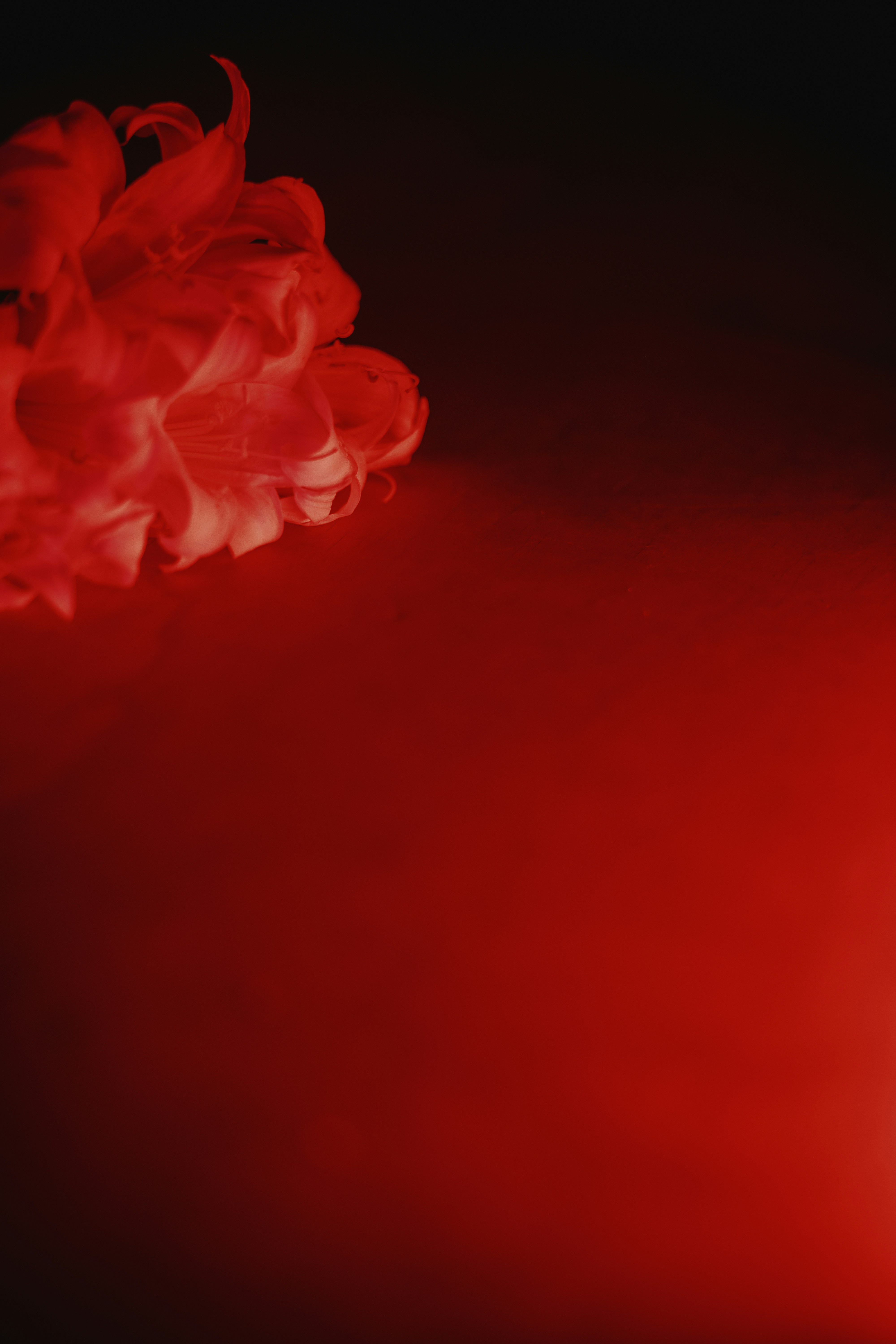 Photo by hedleywakefield