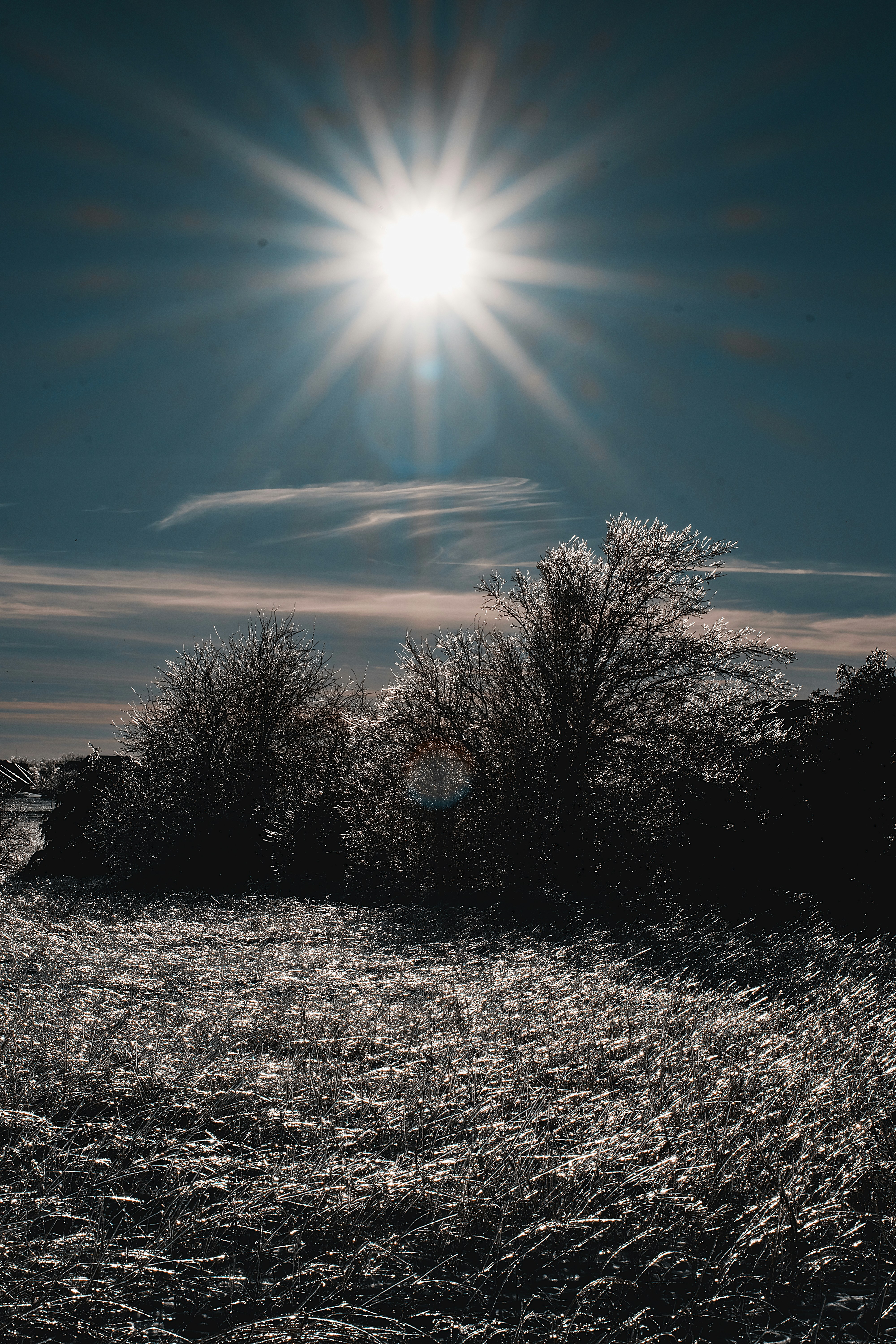 Bright sun shines over frost-covered landscape.