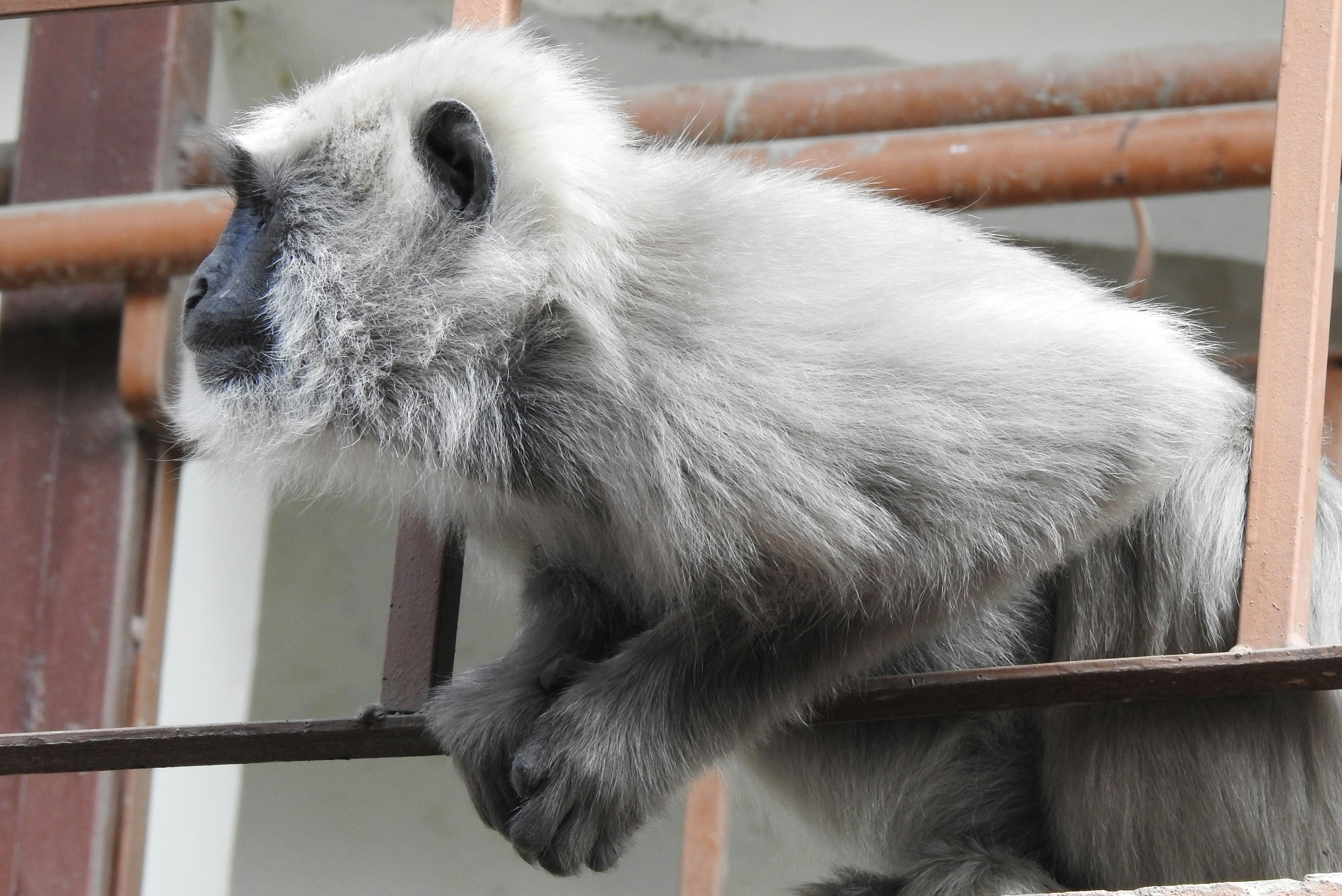 The Revolution Is Just Beginning (image credits: unsplash)