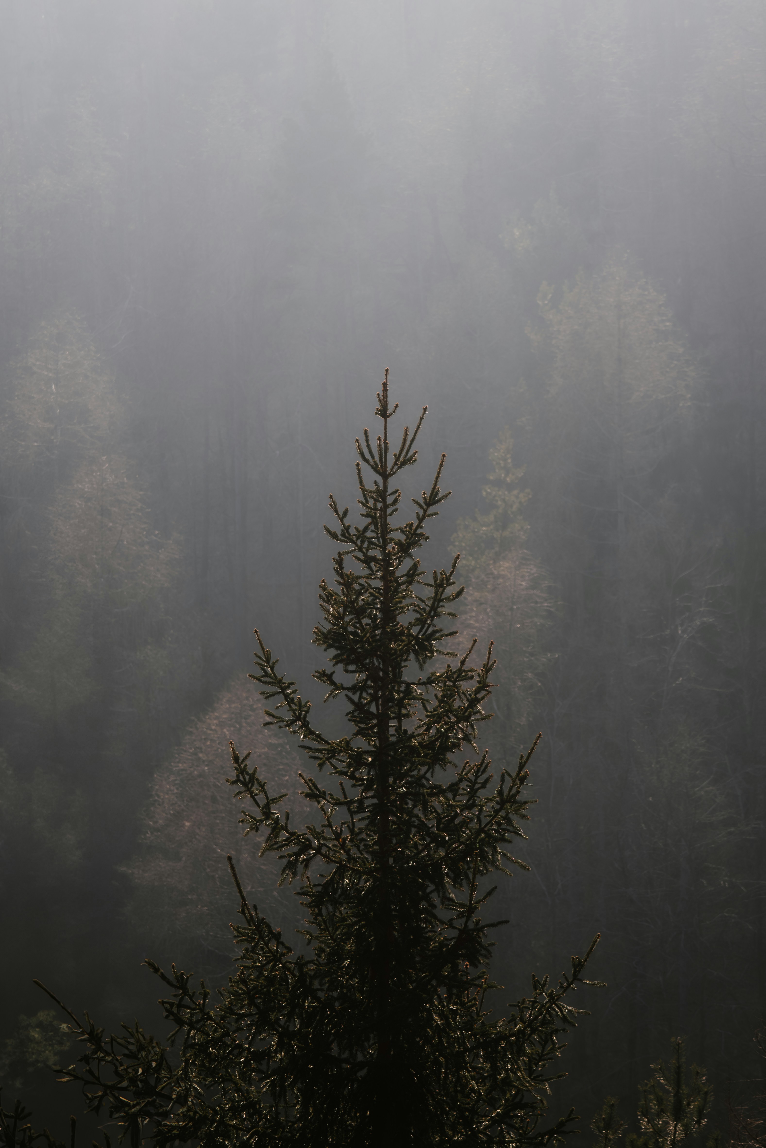 Photo by ahmetyuksek