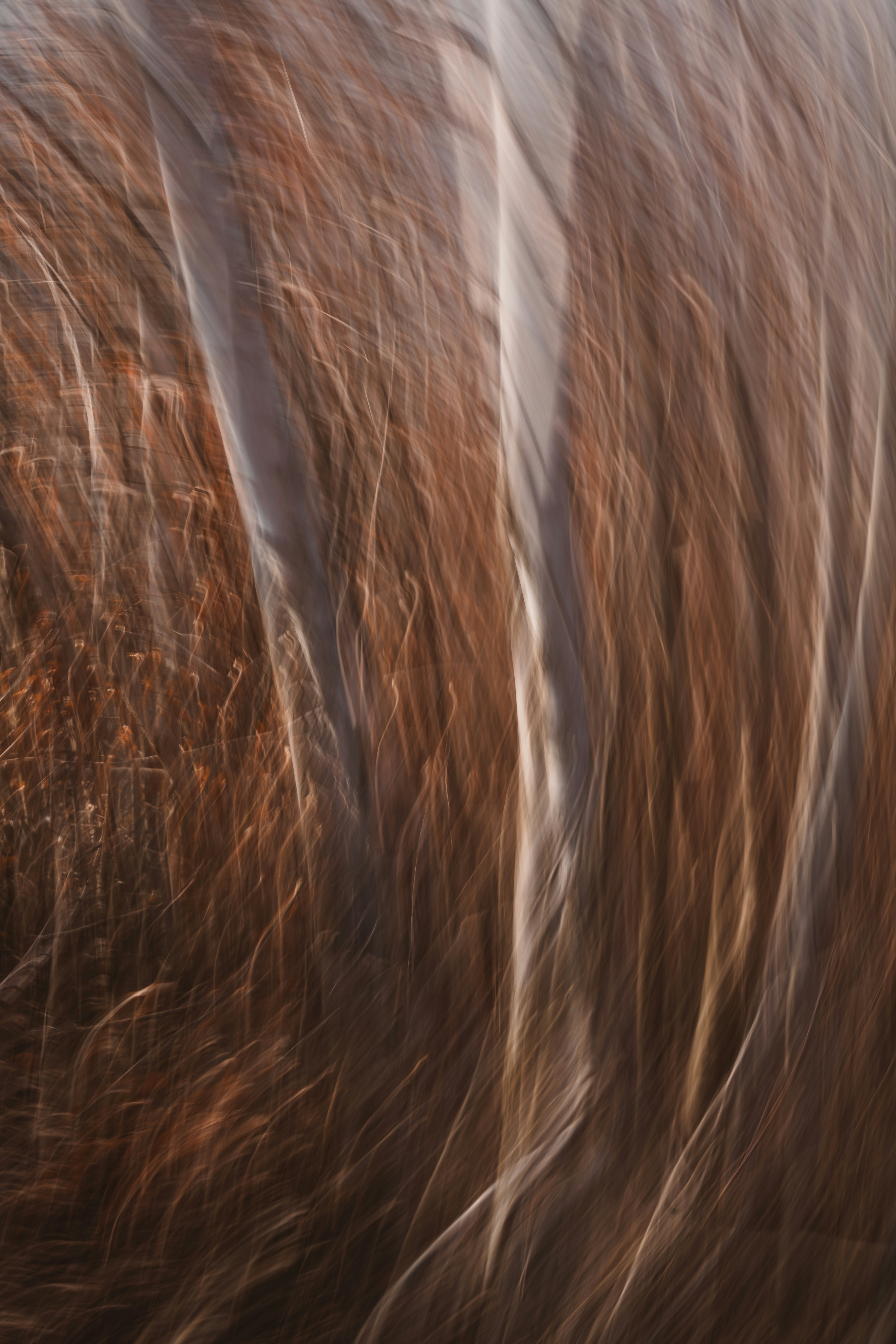 Photo by ahmetyuksek