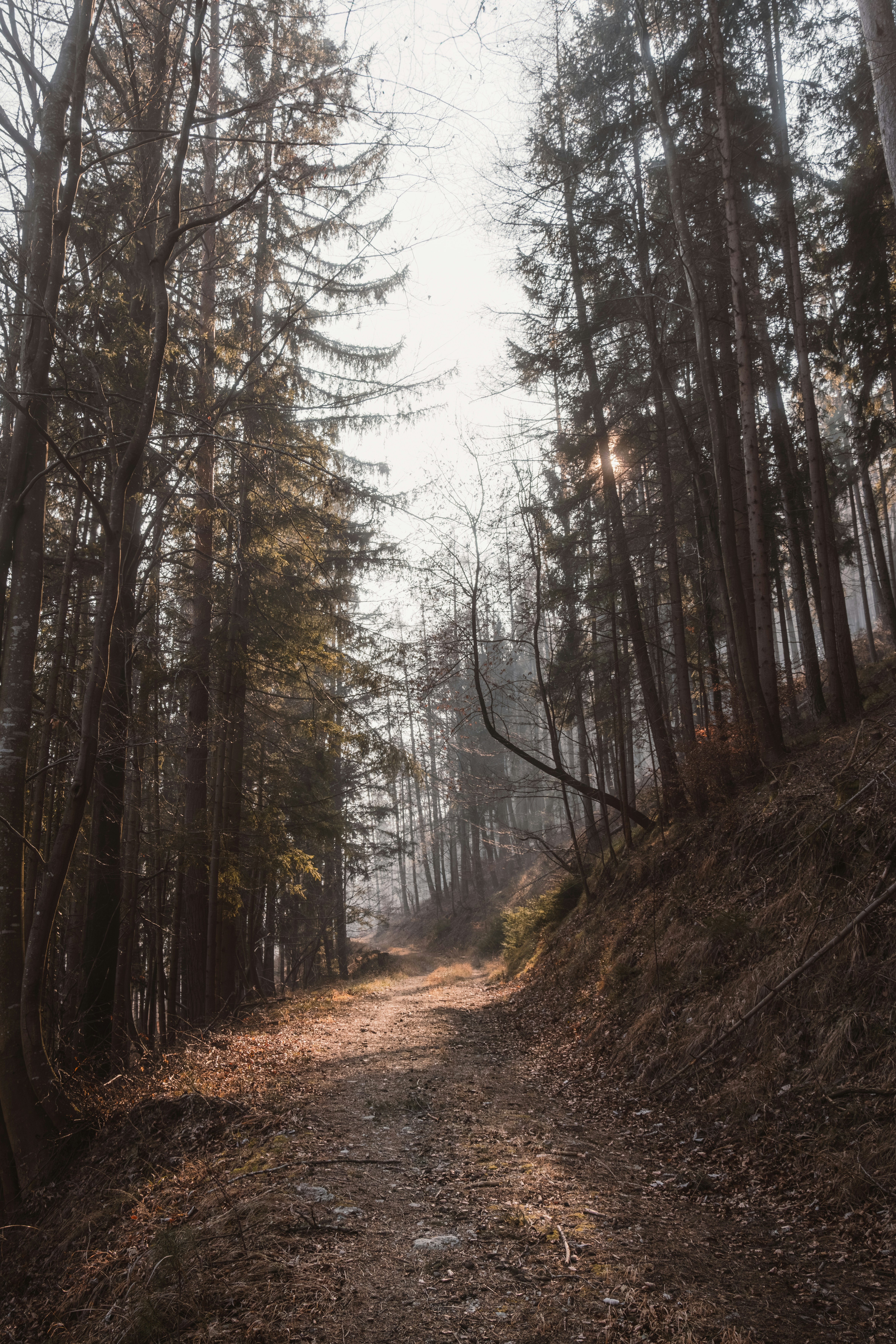 Photo by ahmetyuksek