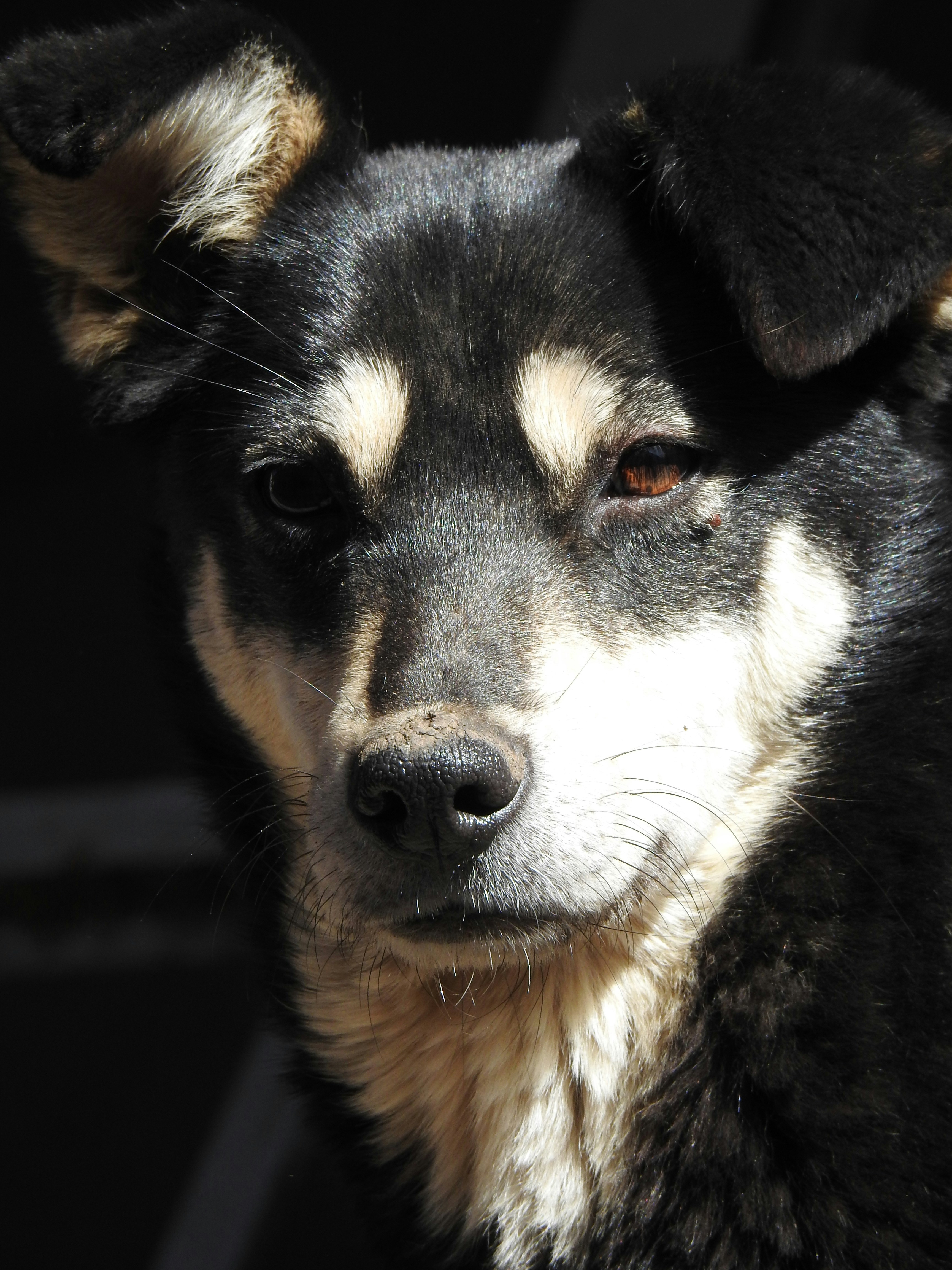 Photo by aditipanatu95