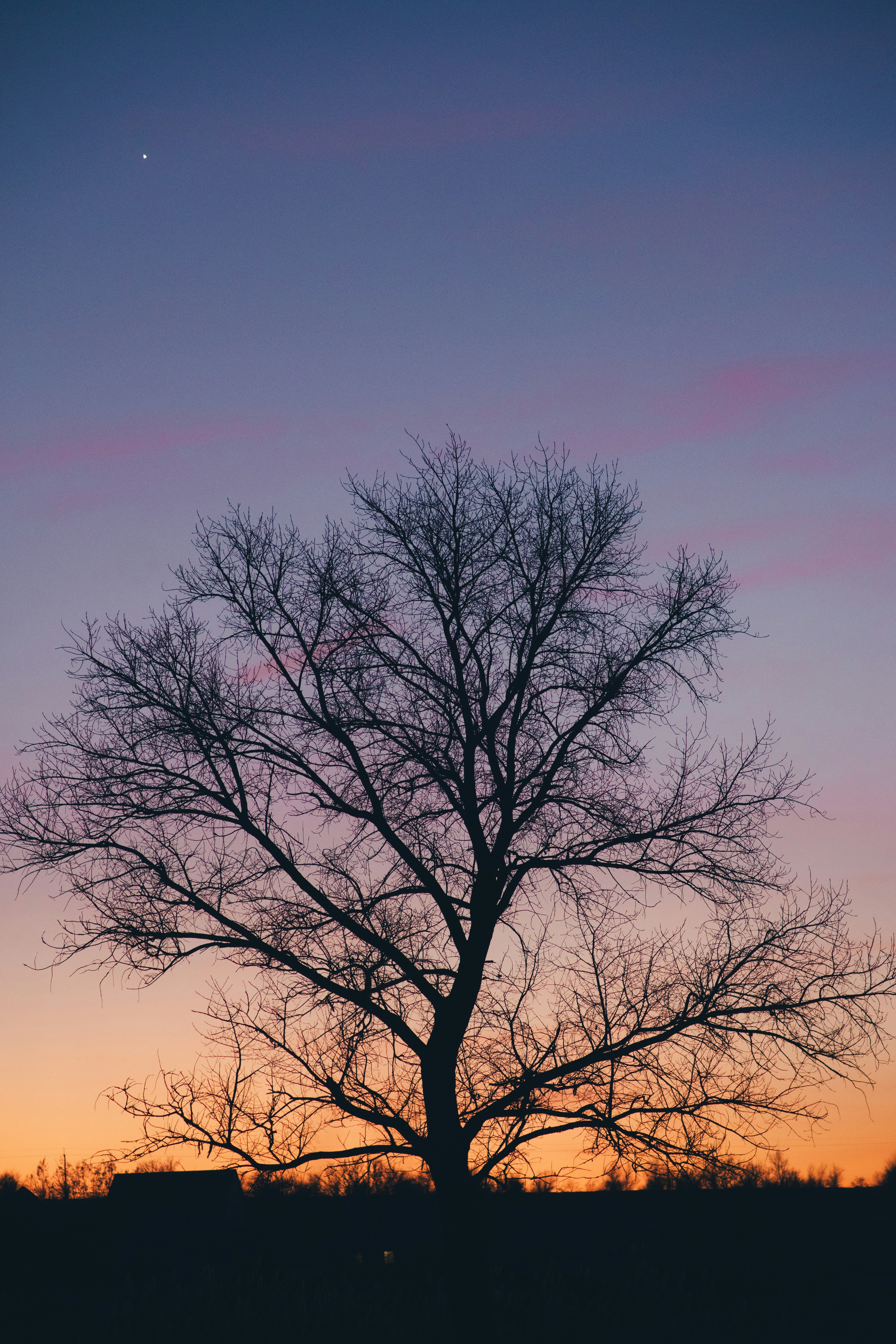 Photo by onmywayhome