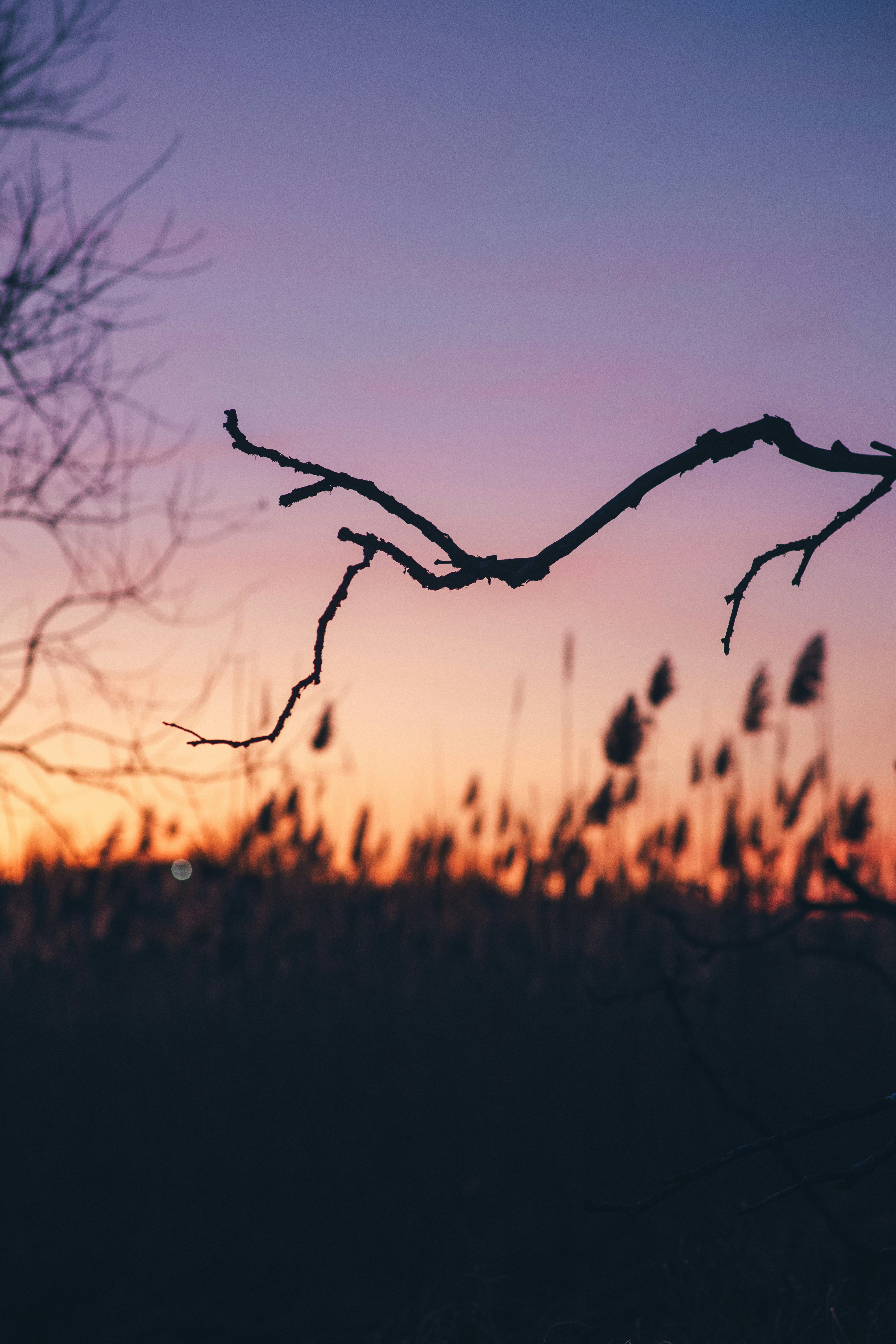 Photo by onmywayhome