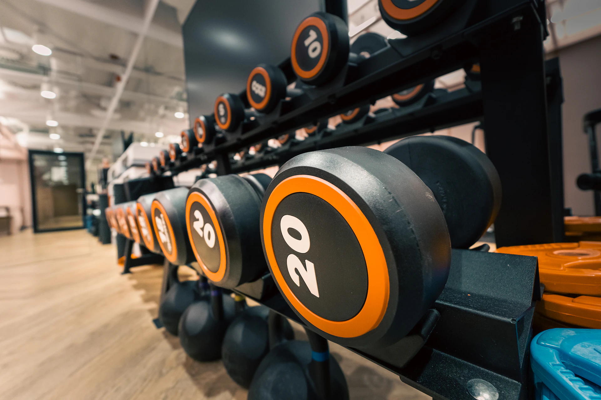 Weights and equipment are ready for a workout.