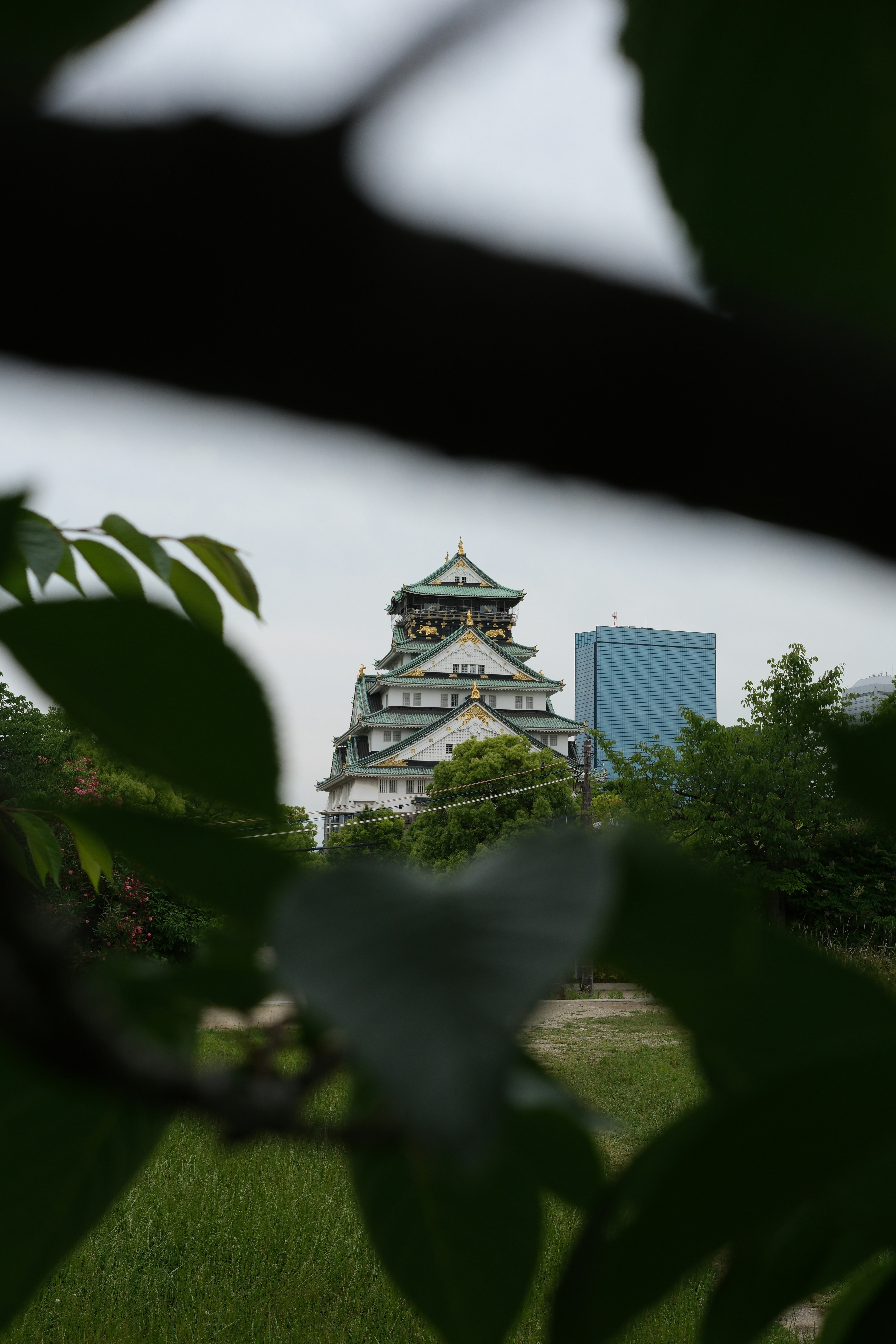 Photo by offinlew