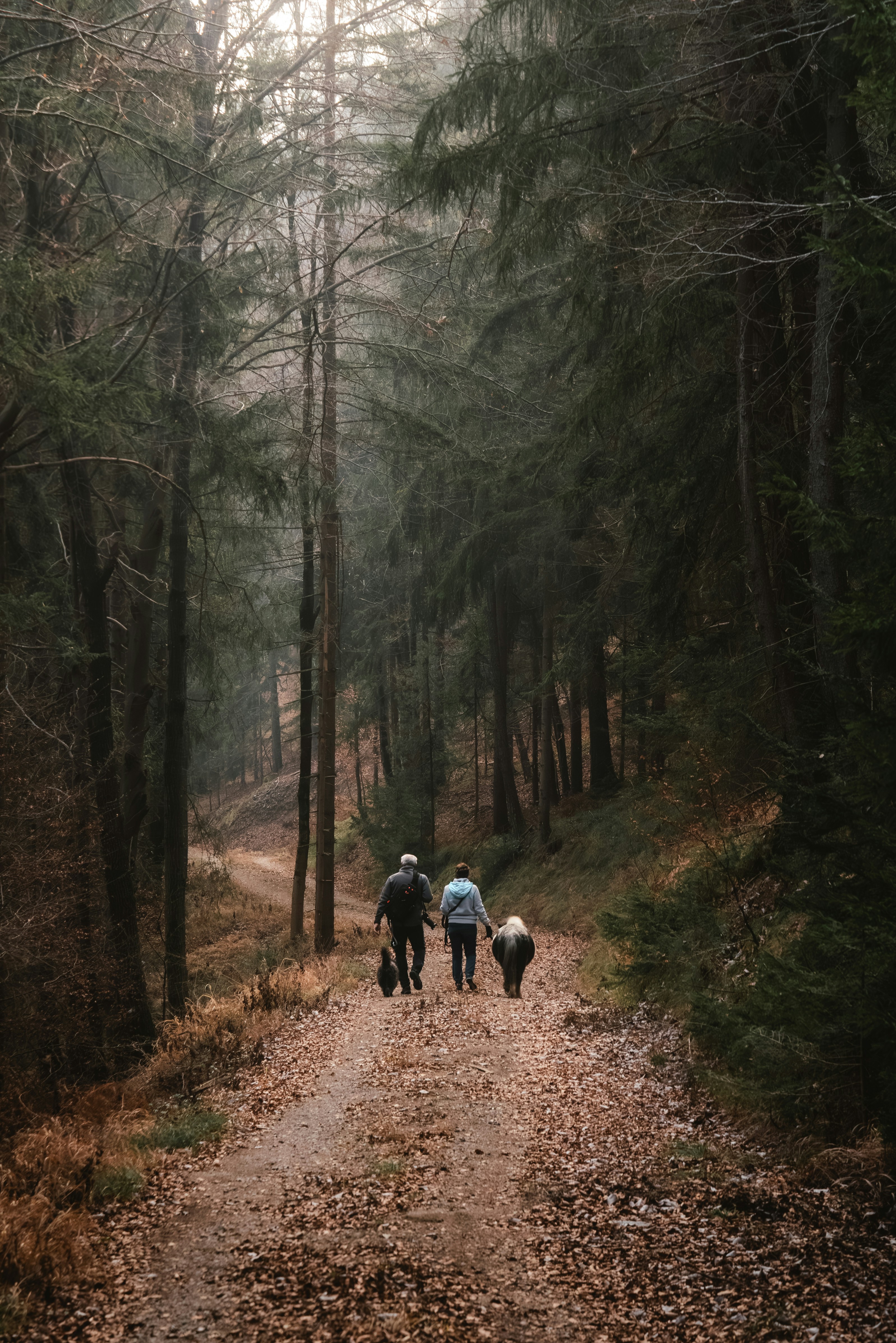 Photo by ahmetyuksek