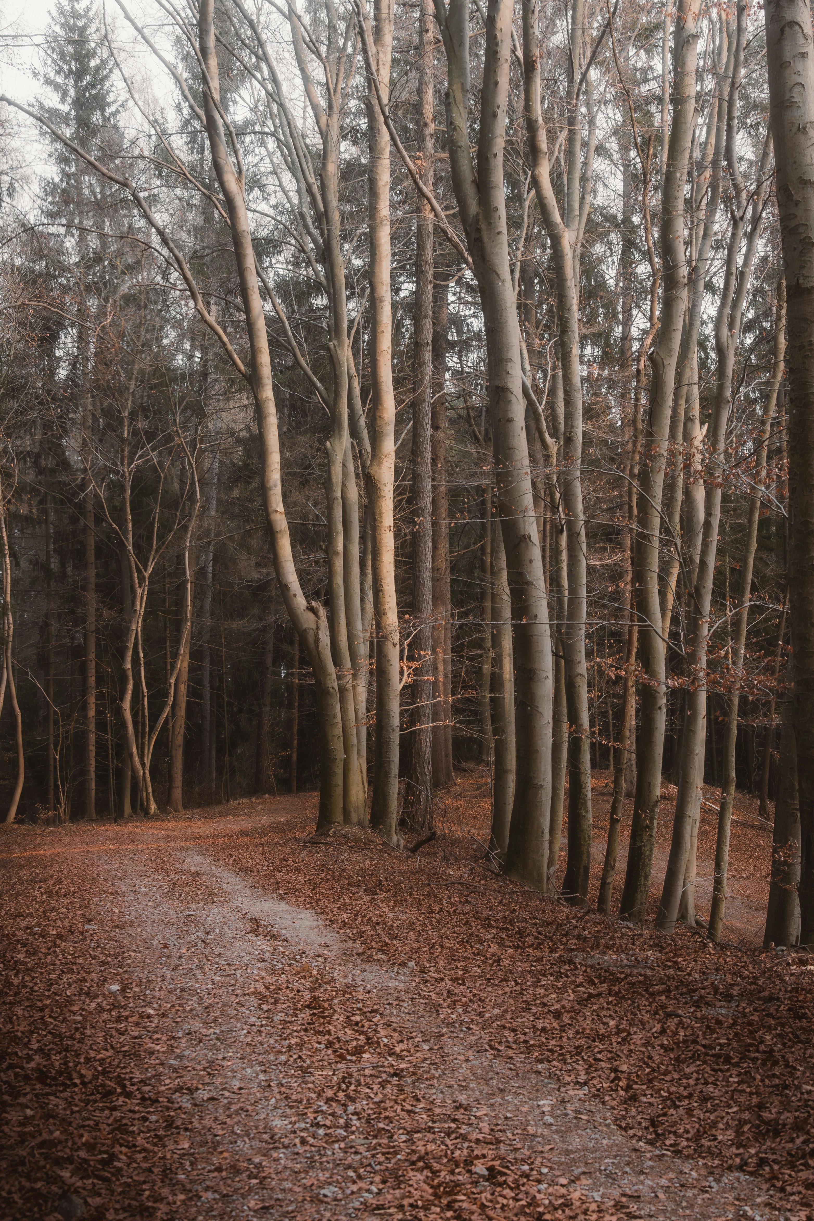 Photo by ahmetyuksek