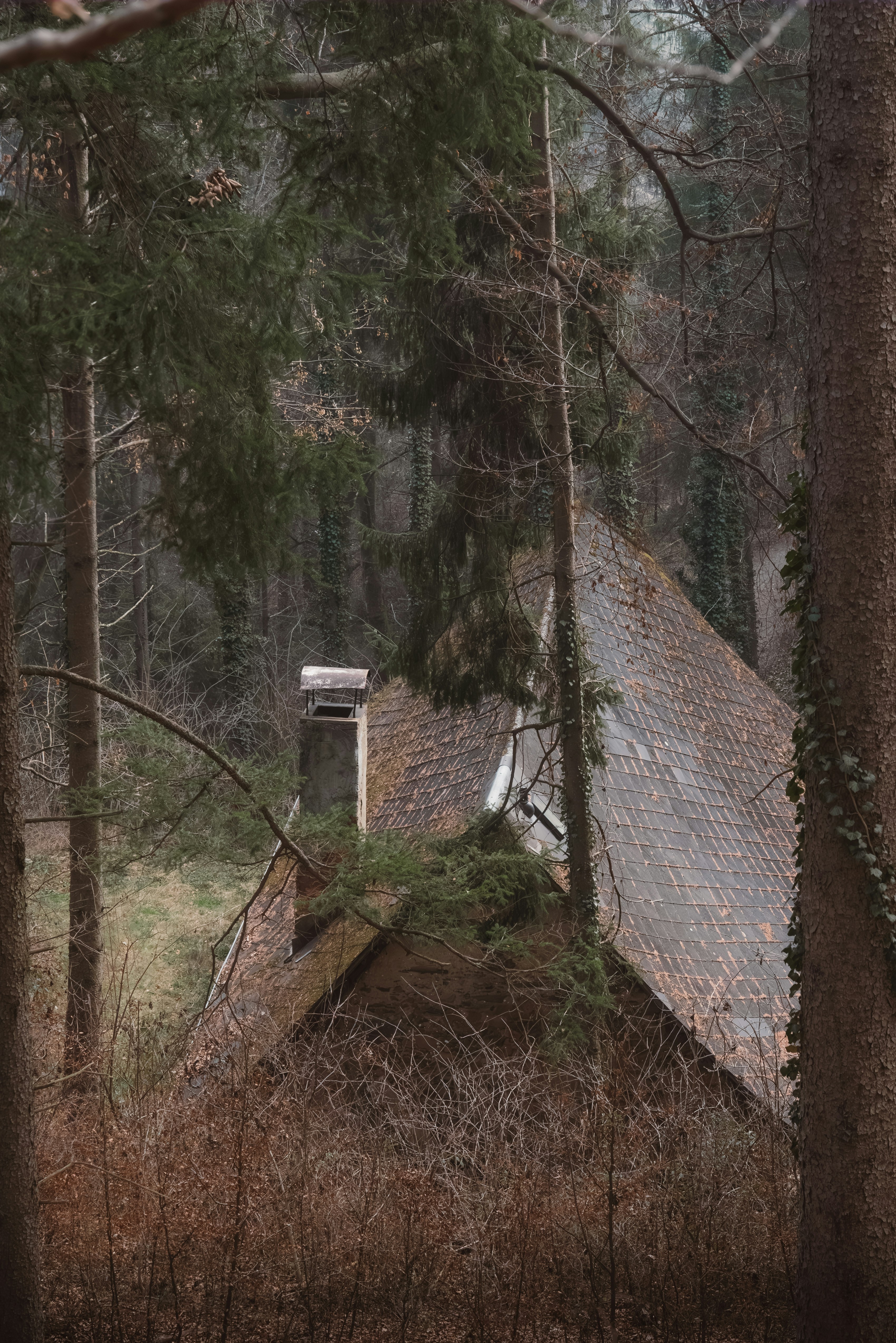 Photo by ahmetyuksek