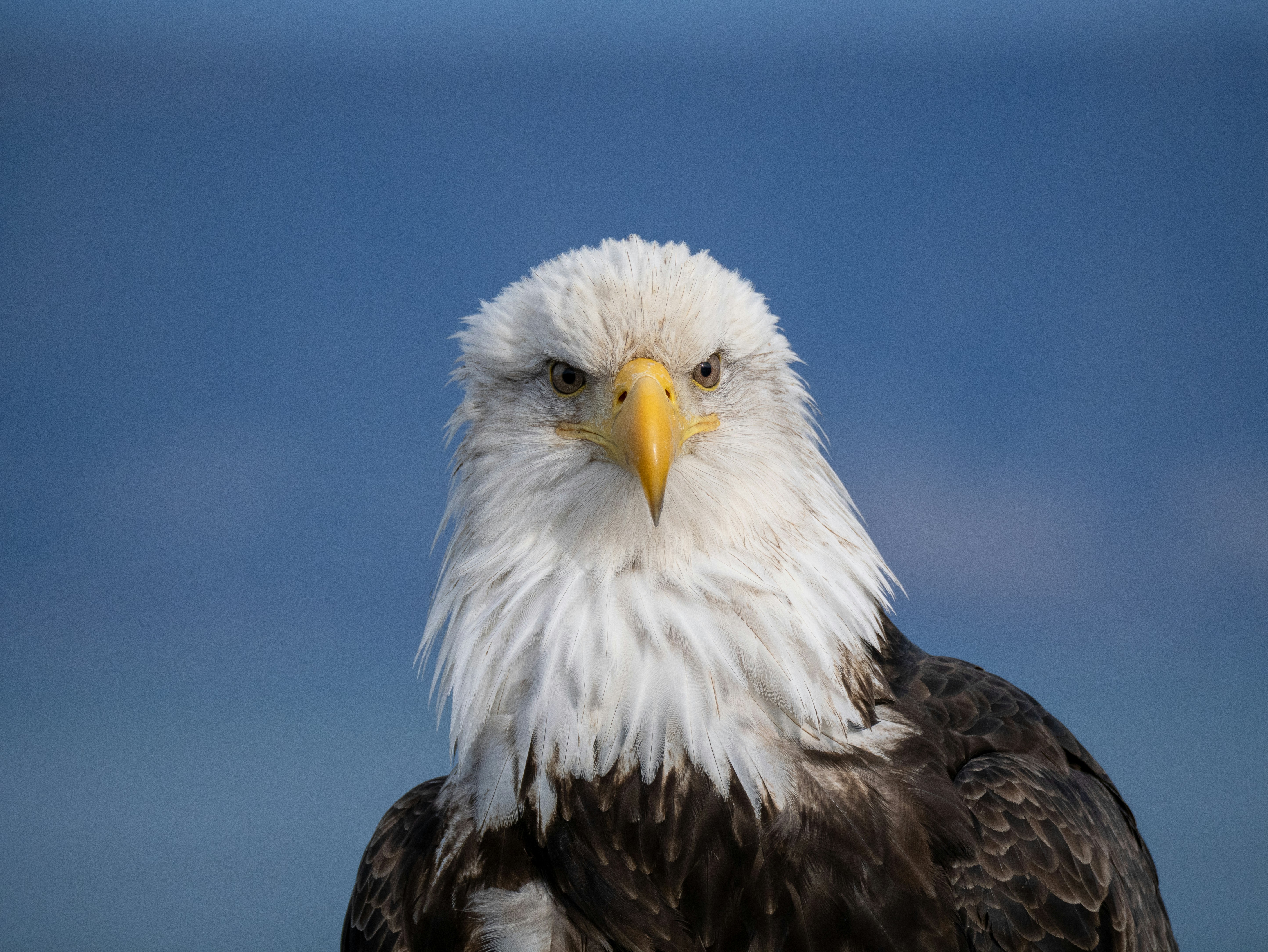 Photo by huntermastersmusic