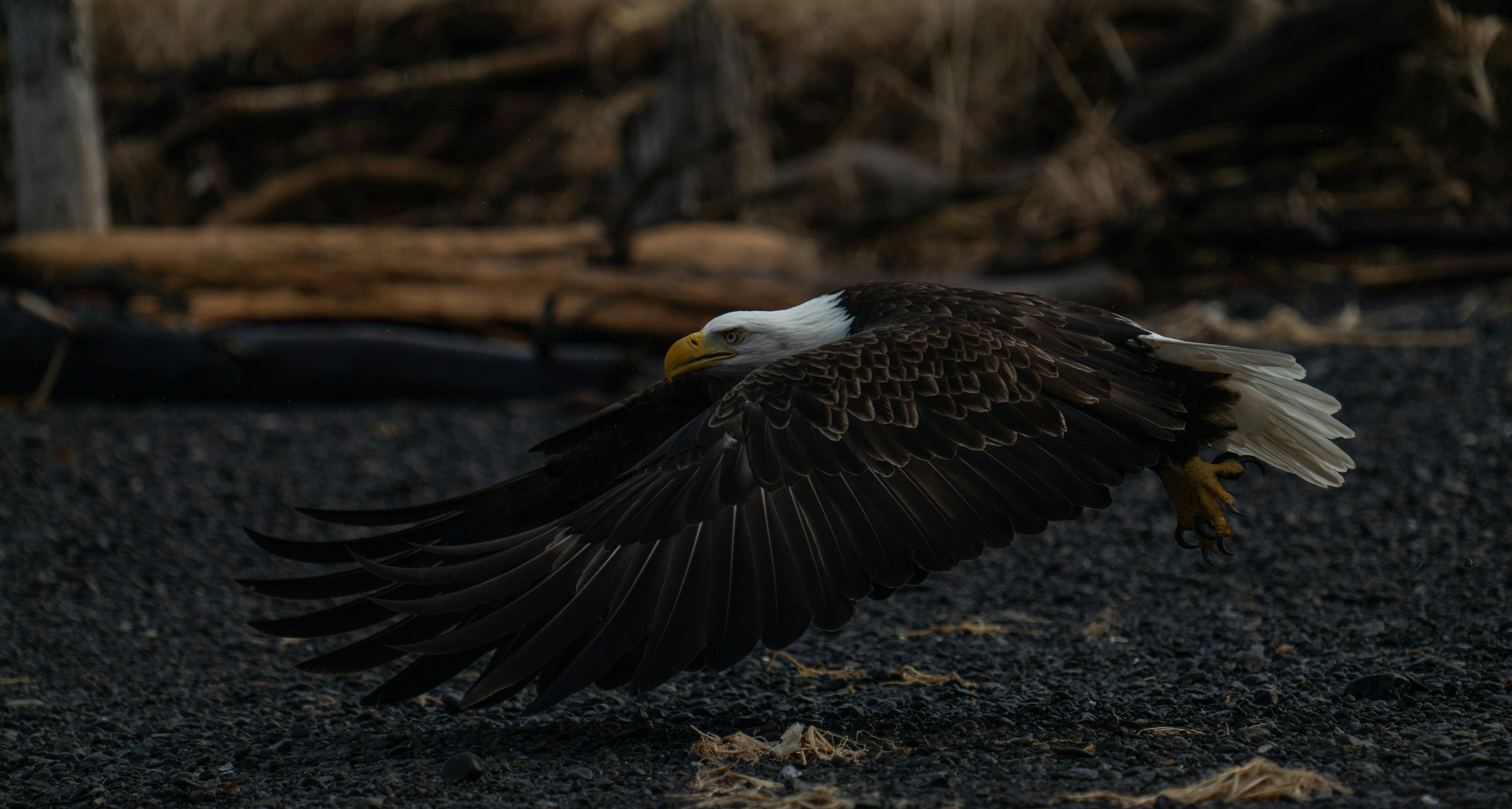 Photo by huntermastersmusic